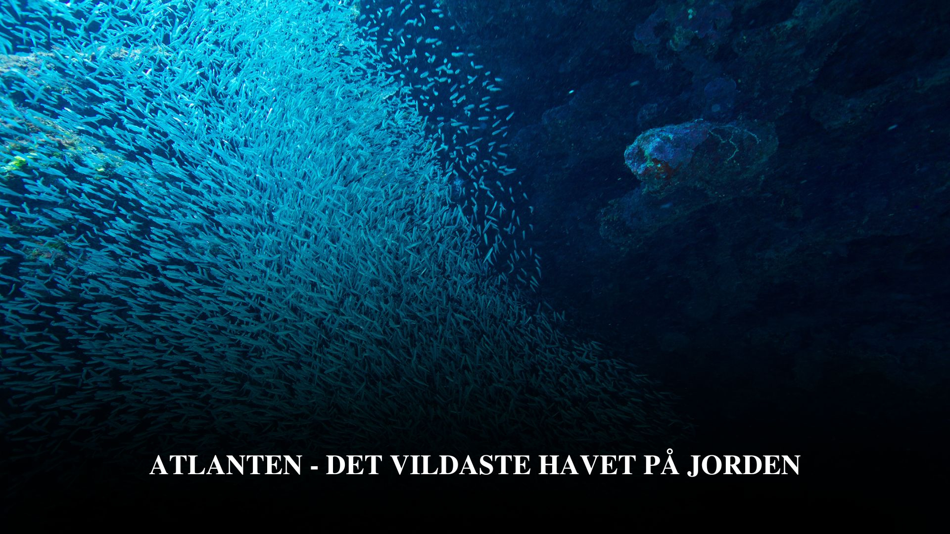 Atlanten - det vildaste havet på jorden