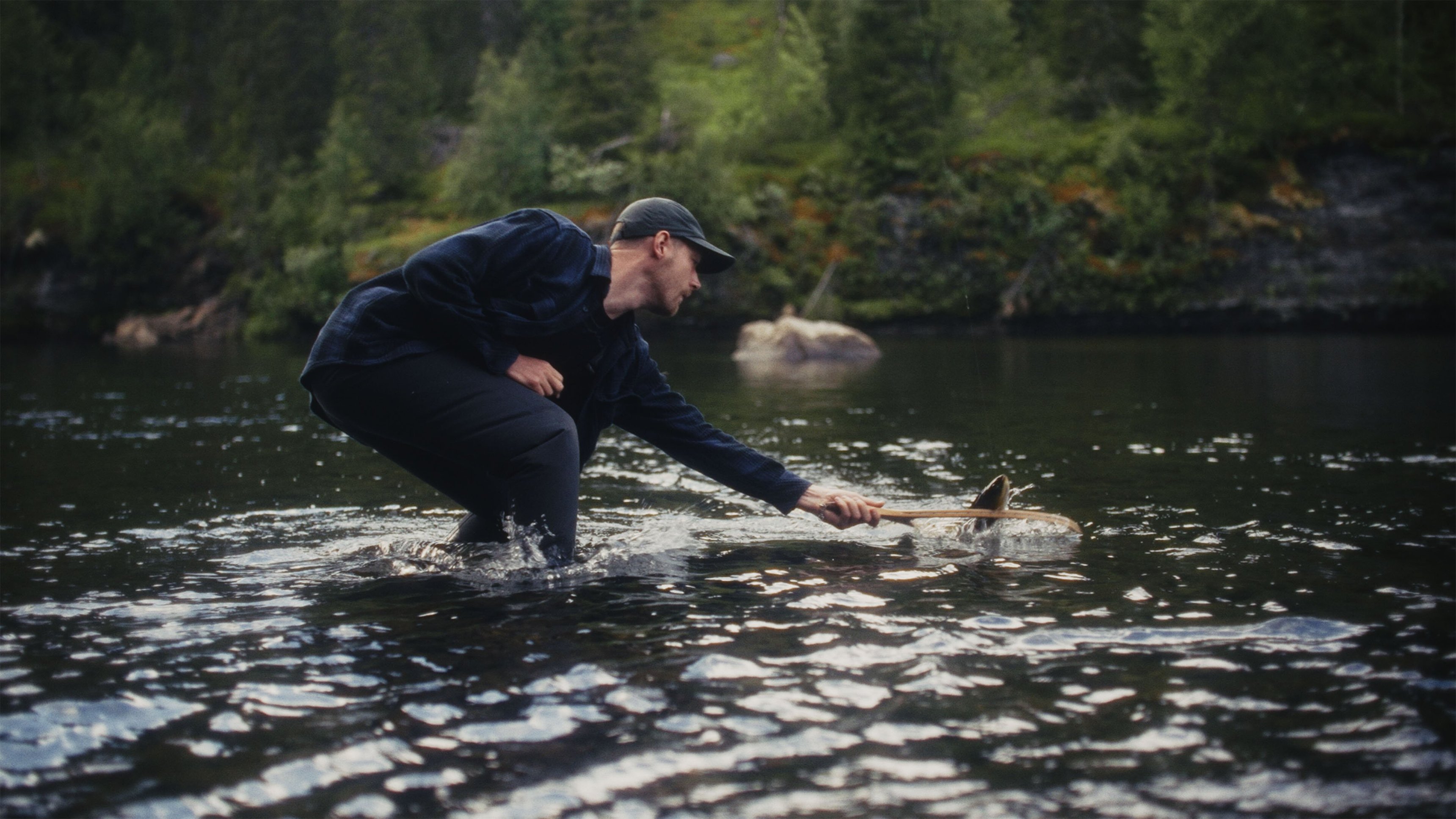 Dryflystories - Hämta håven