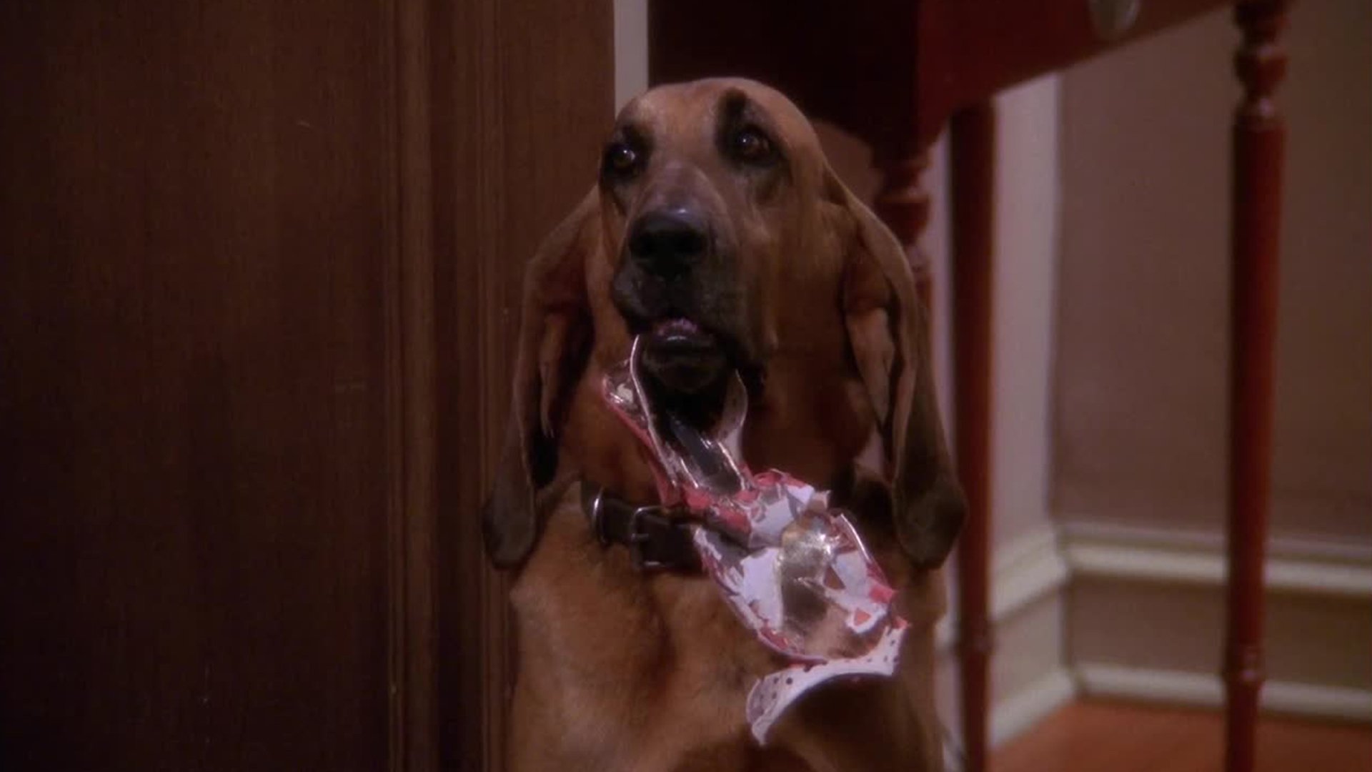 5. Ruff Goin