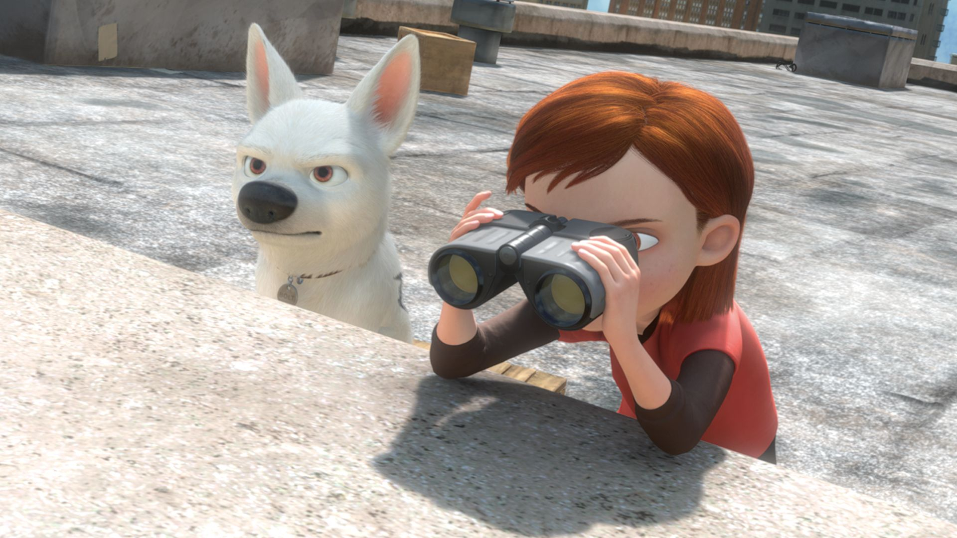 Bolt