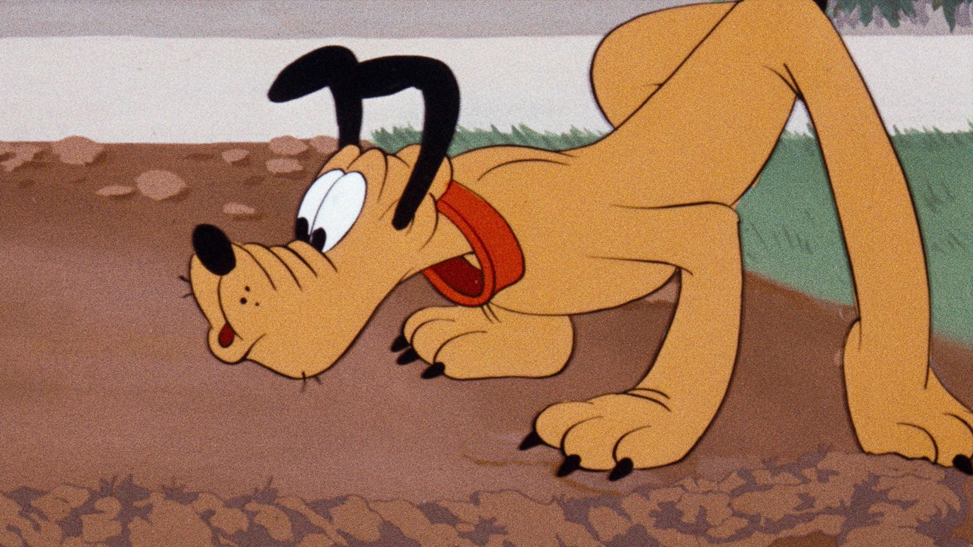 Pluto och sorken