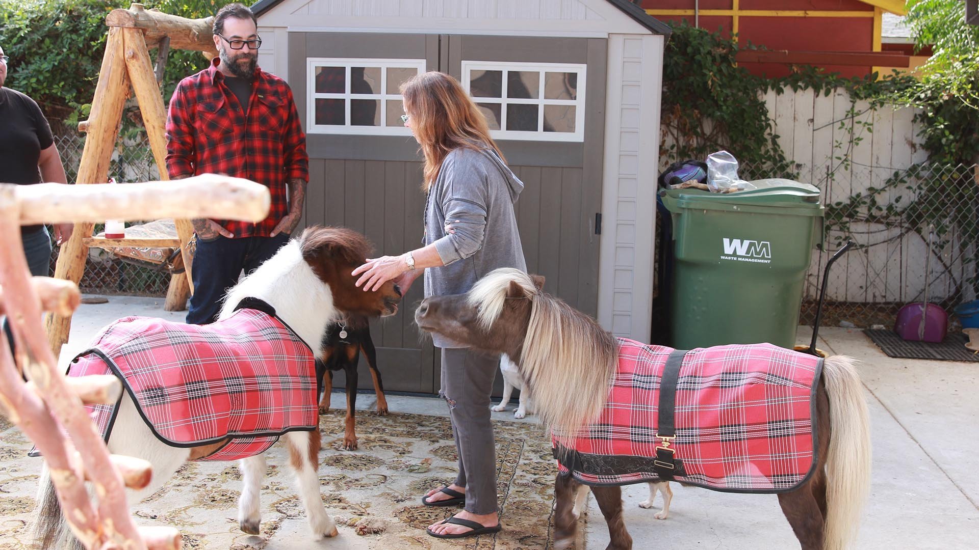 6. Backyard Barnyard