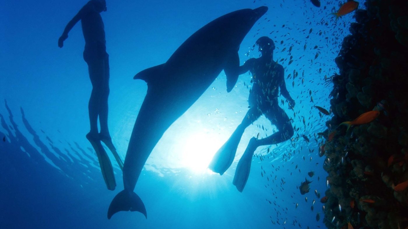 Blue World