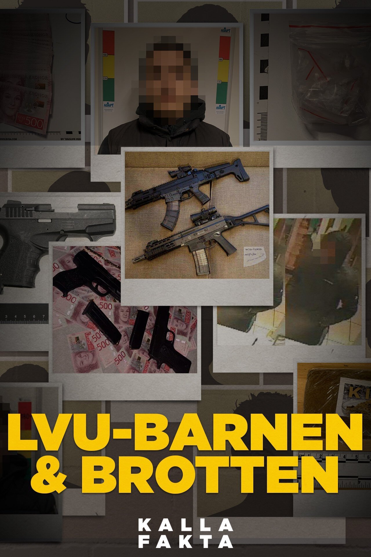 Kalla fakta: LVU-barnen och brotten