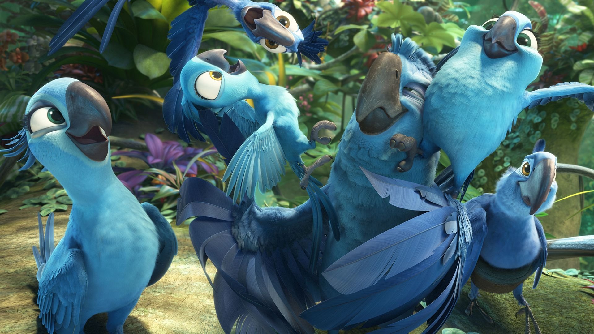 Rio 2