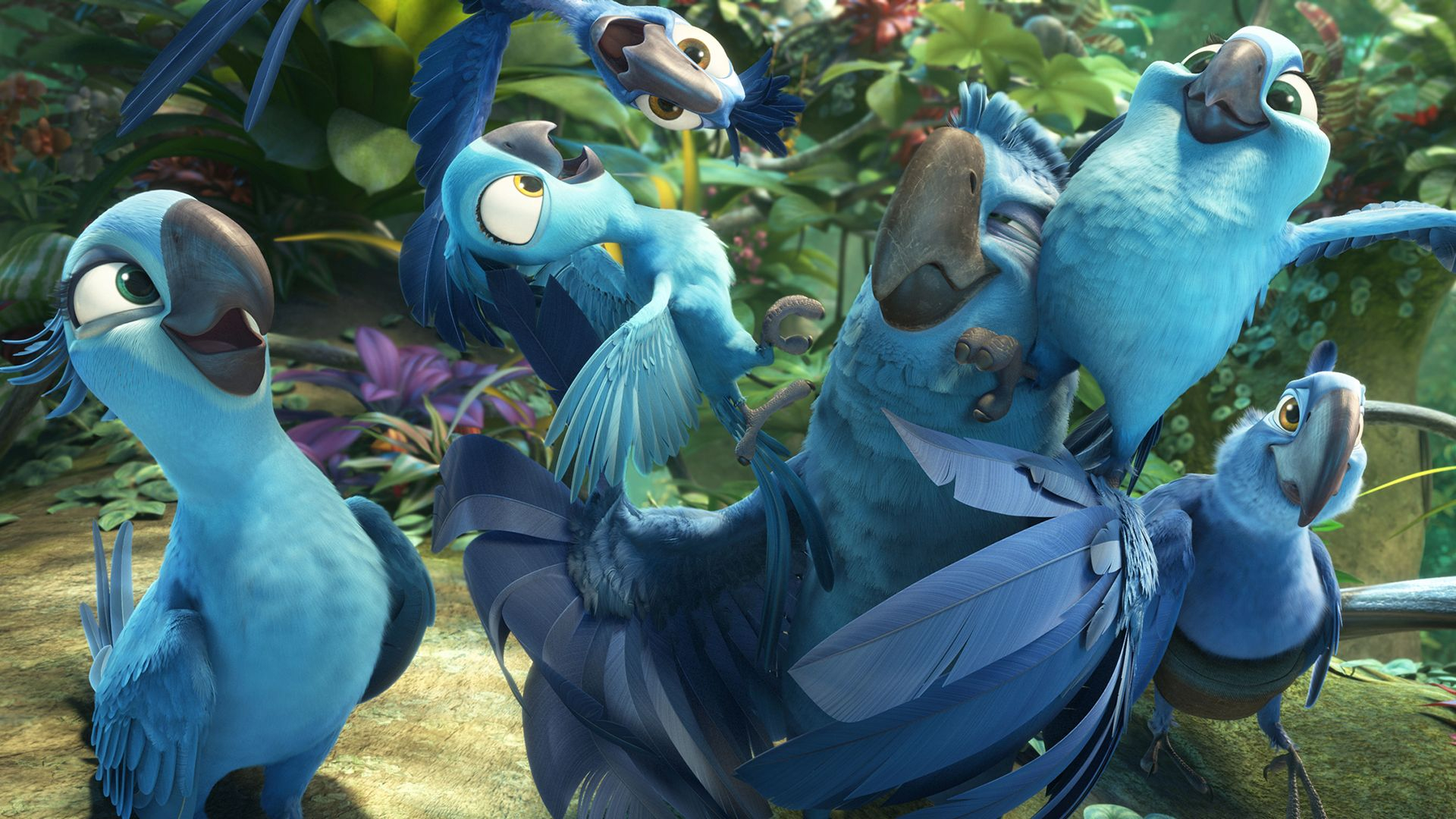 Rio 2