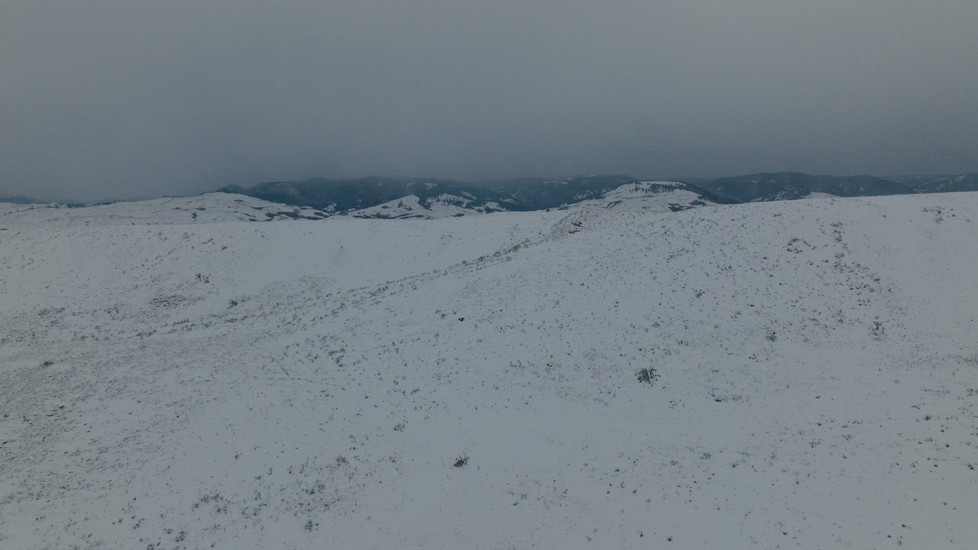 7. The Fetterman Fight