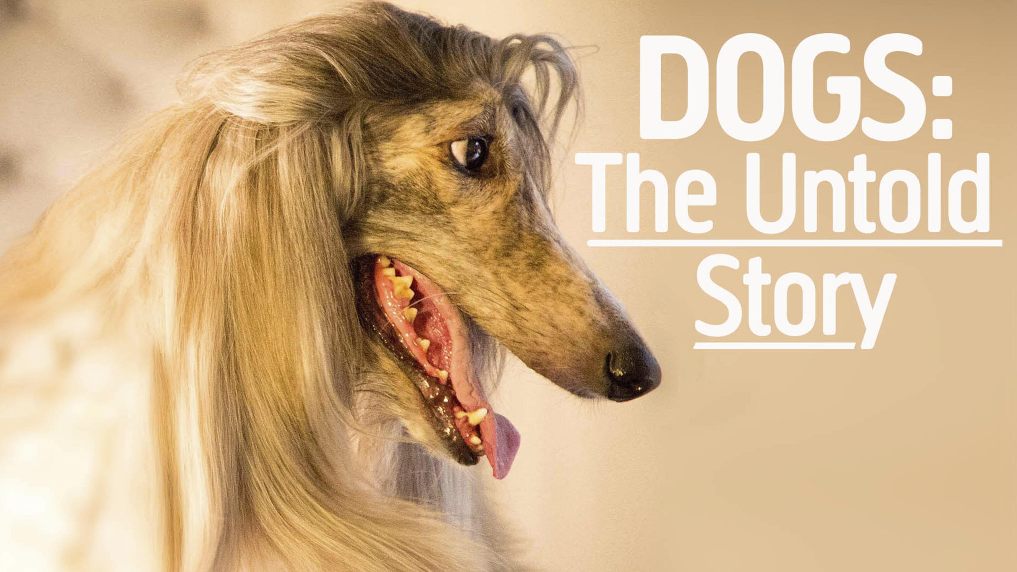 Dogs: The Untold Story