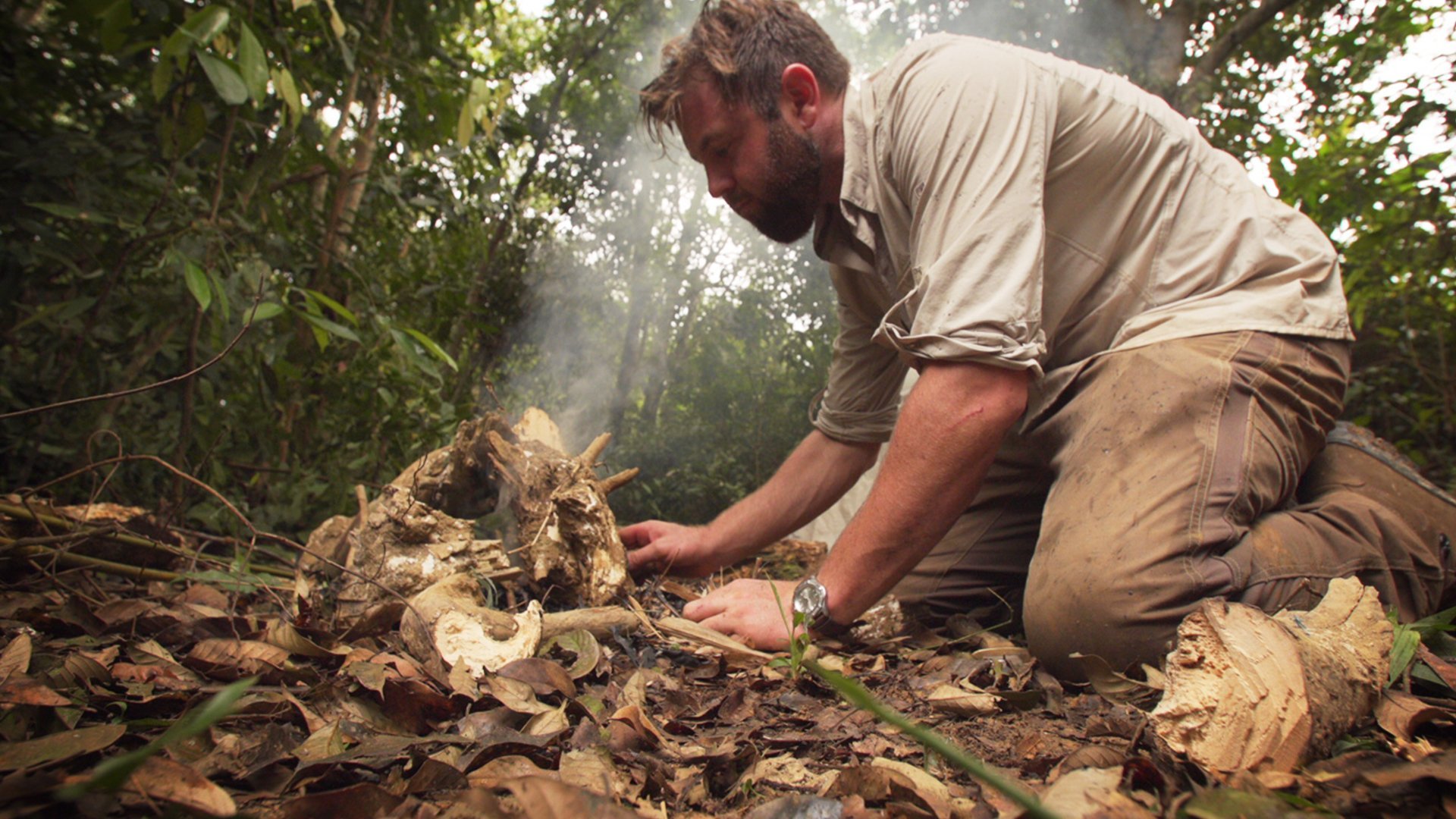 7. The Asian Unicorn