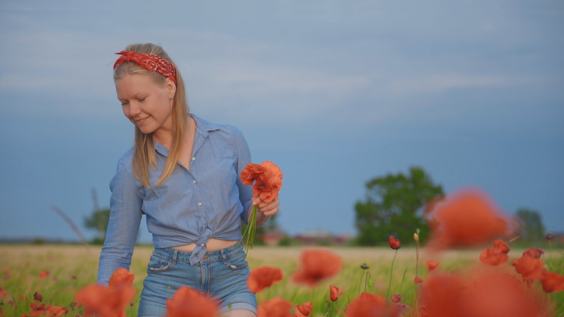 1. Bonde söker fru S18 E001