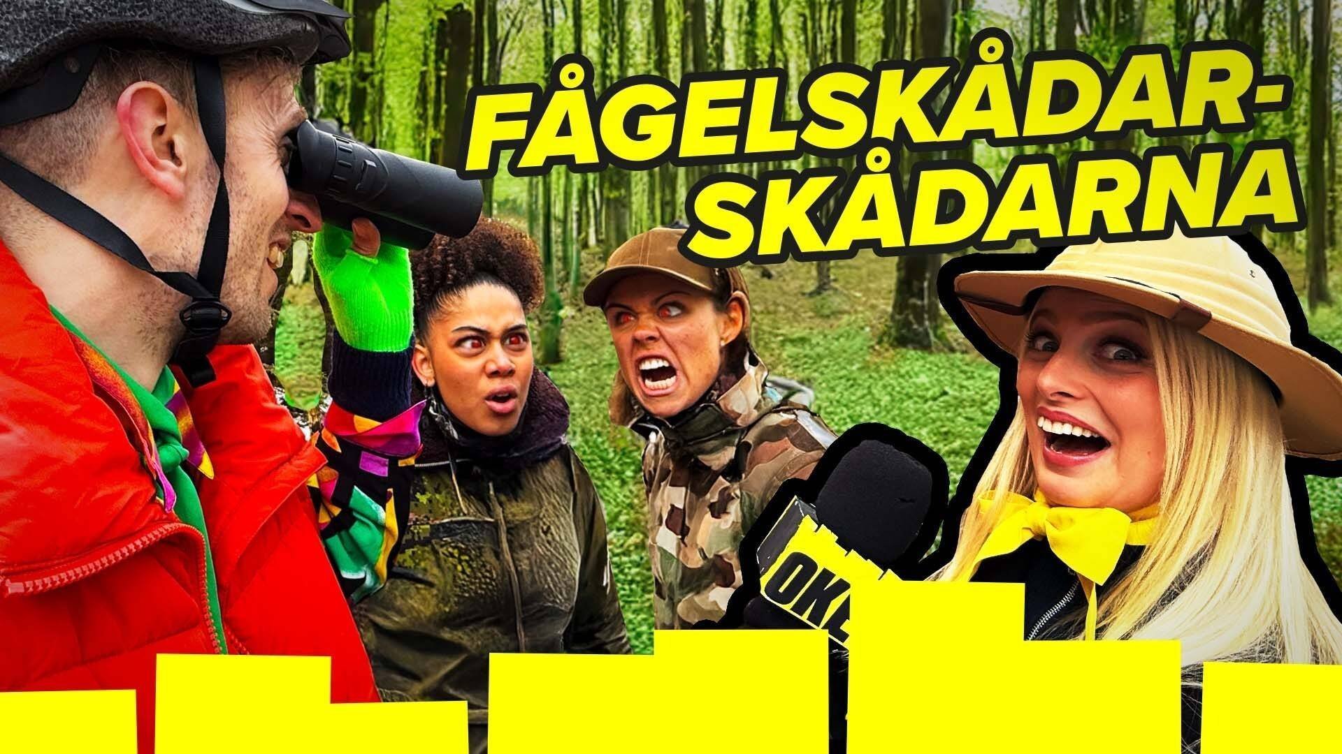 34. Fågelskådar-skådarna