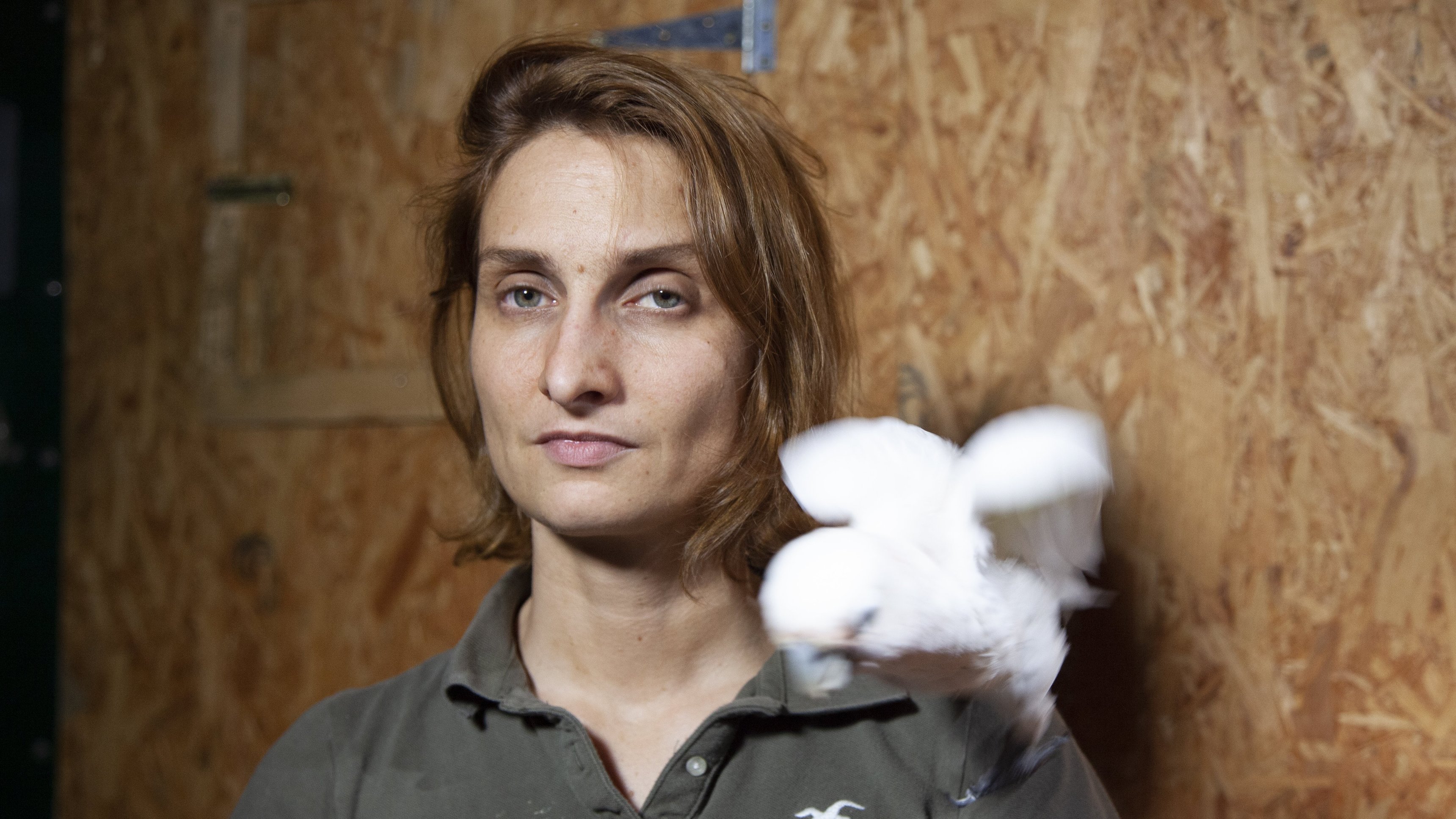 26. Dog Doctors And Animal Architects