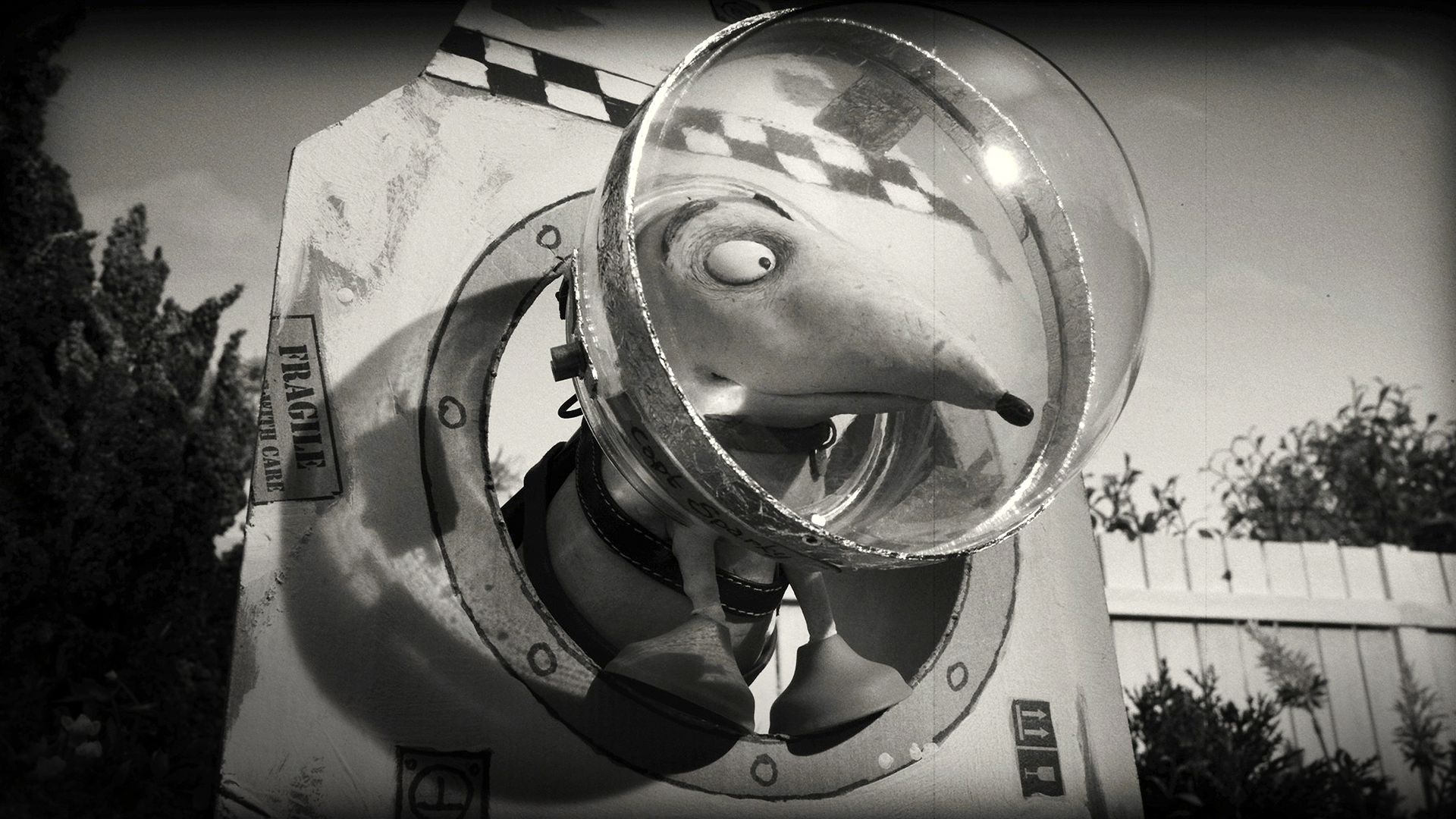 Frankenweenie