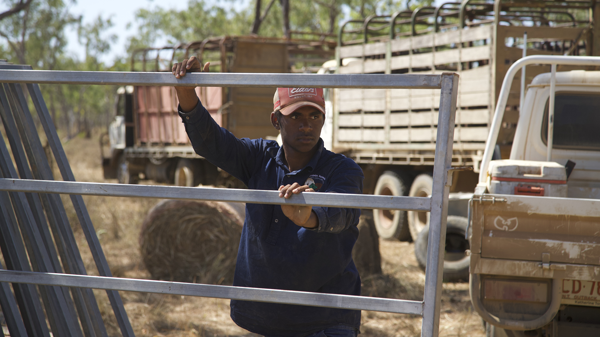 4. Aussie Bull Catchers