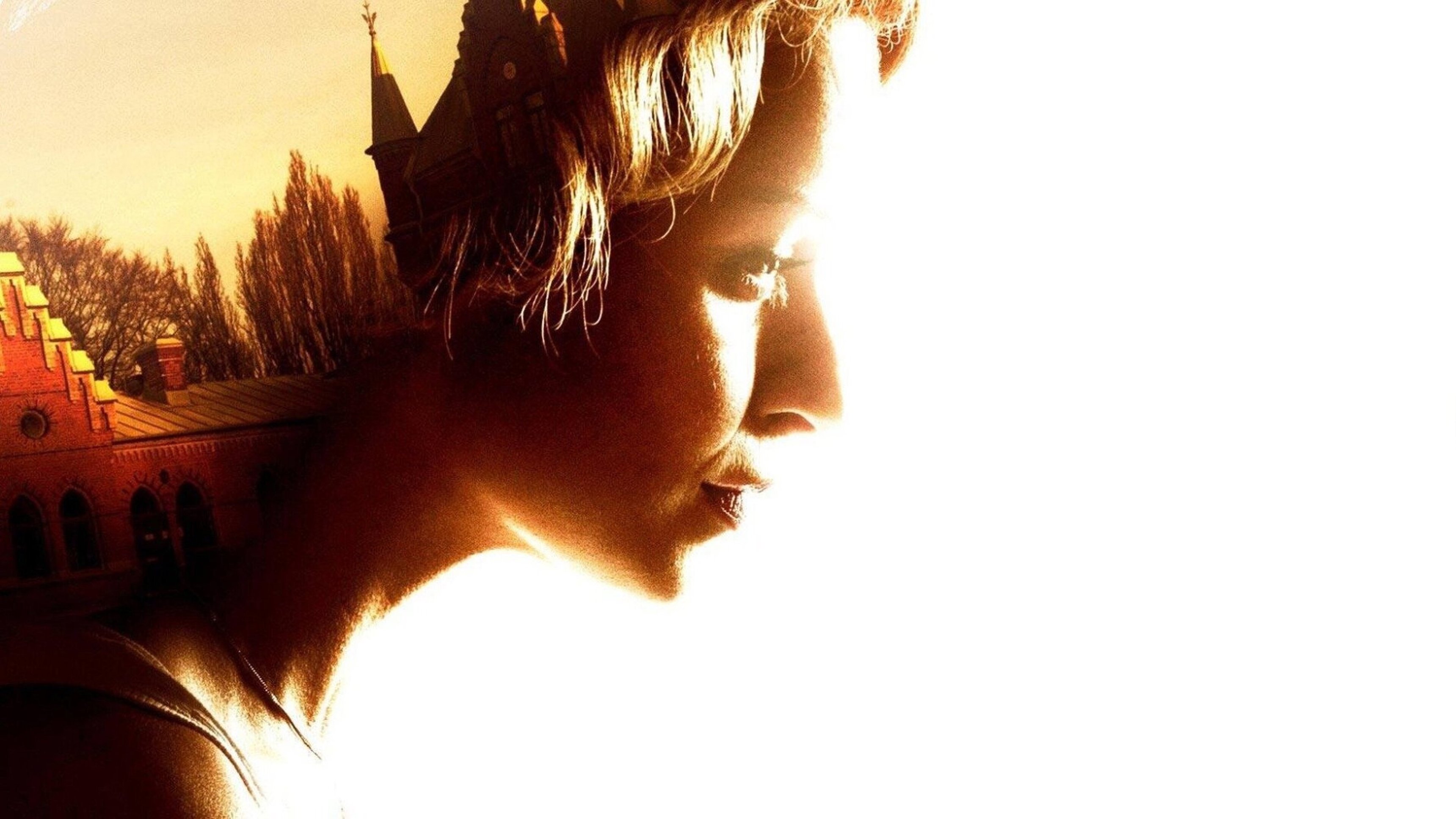 Fjällbackamorden: I betraktarens öga