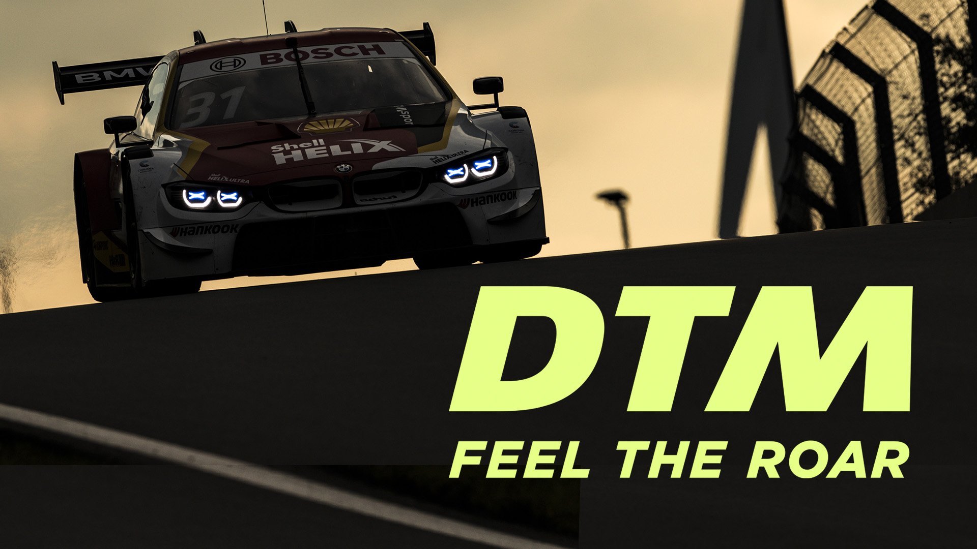 DTM - Feel the Roar