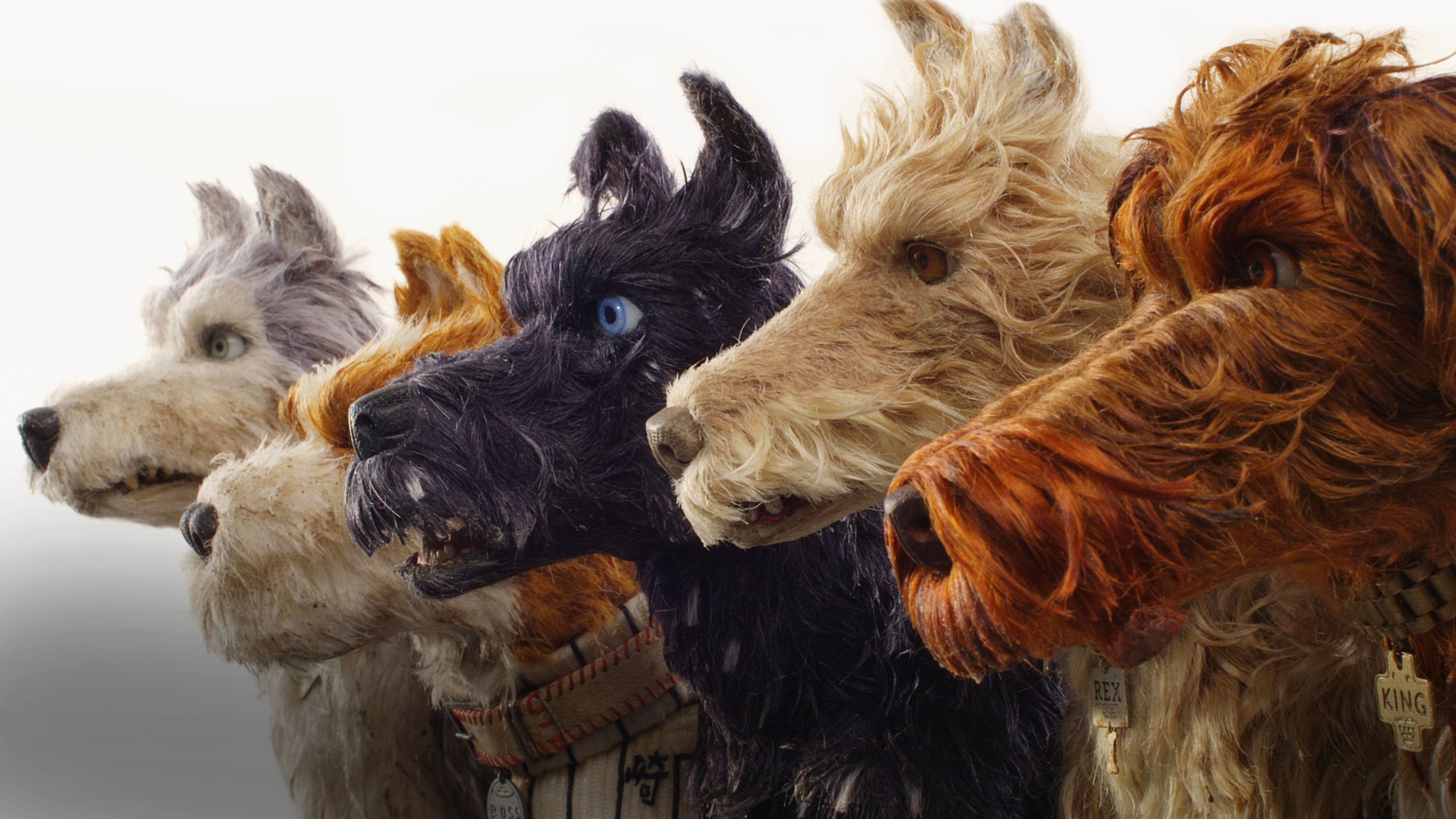 Isle of dogs