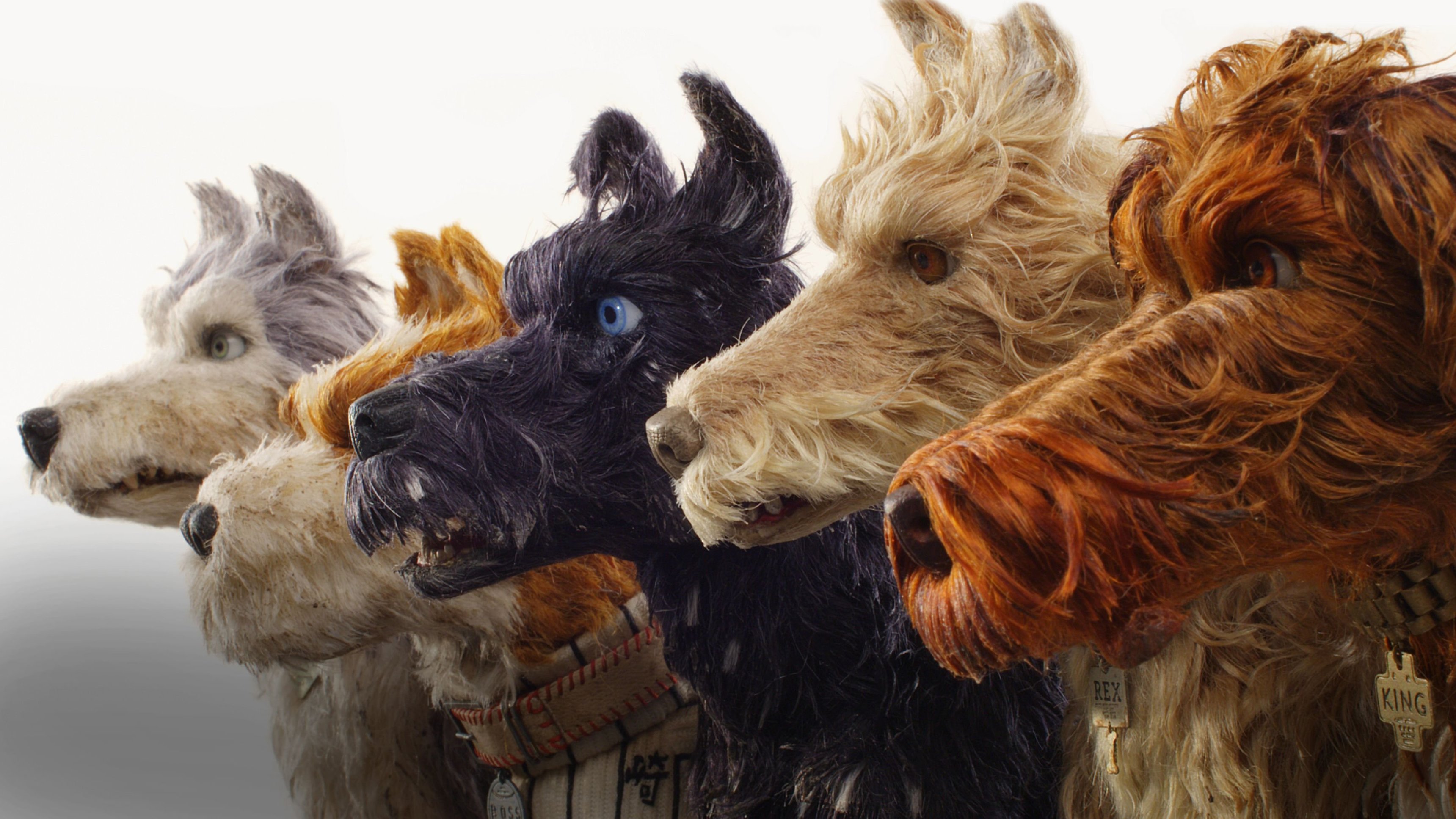Isle of dogs