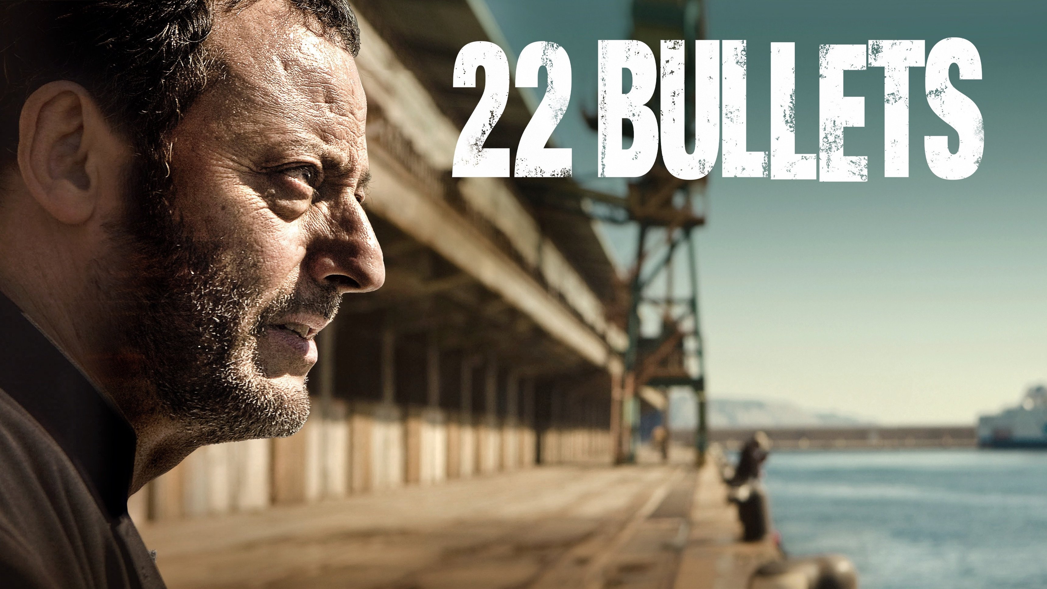22 Bullets