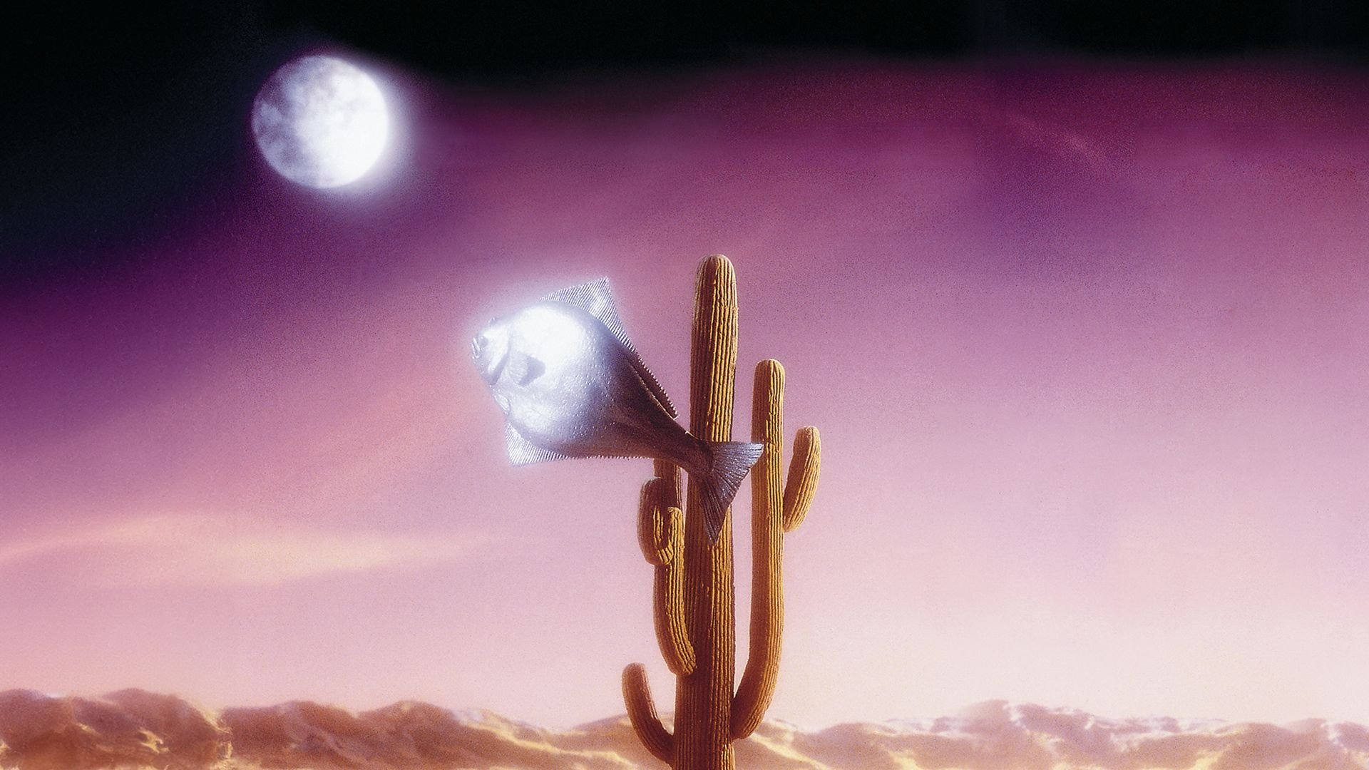 Arizona Dream