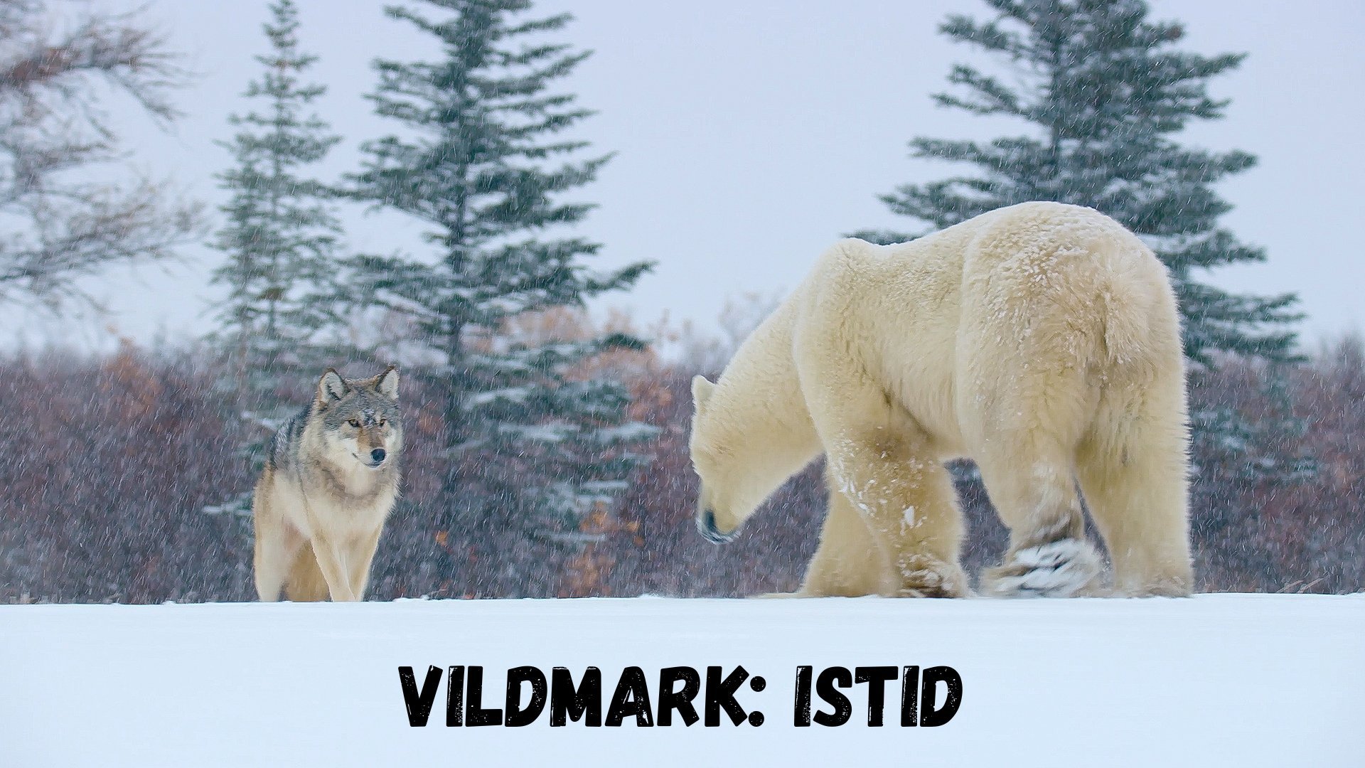 Vildmark: Istid