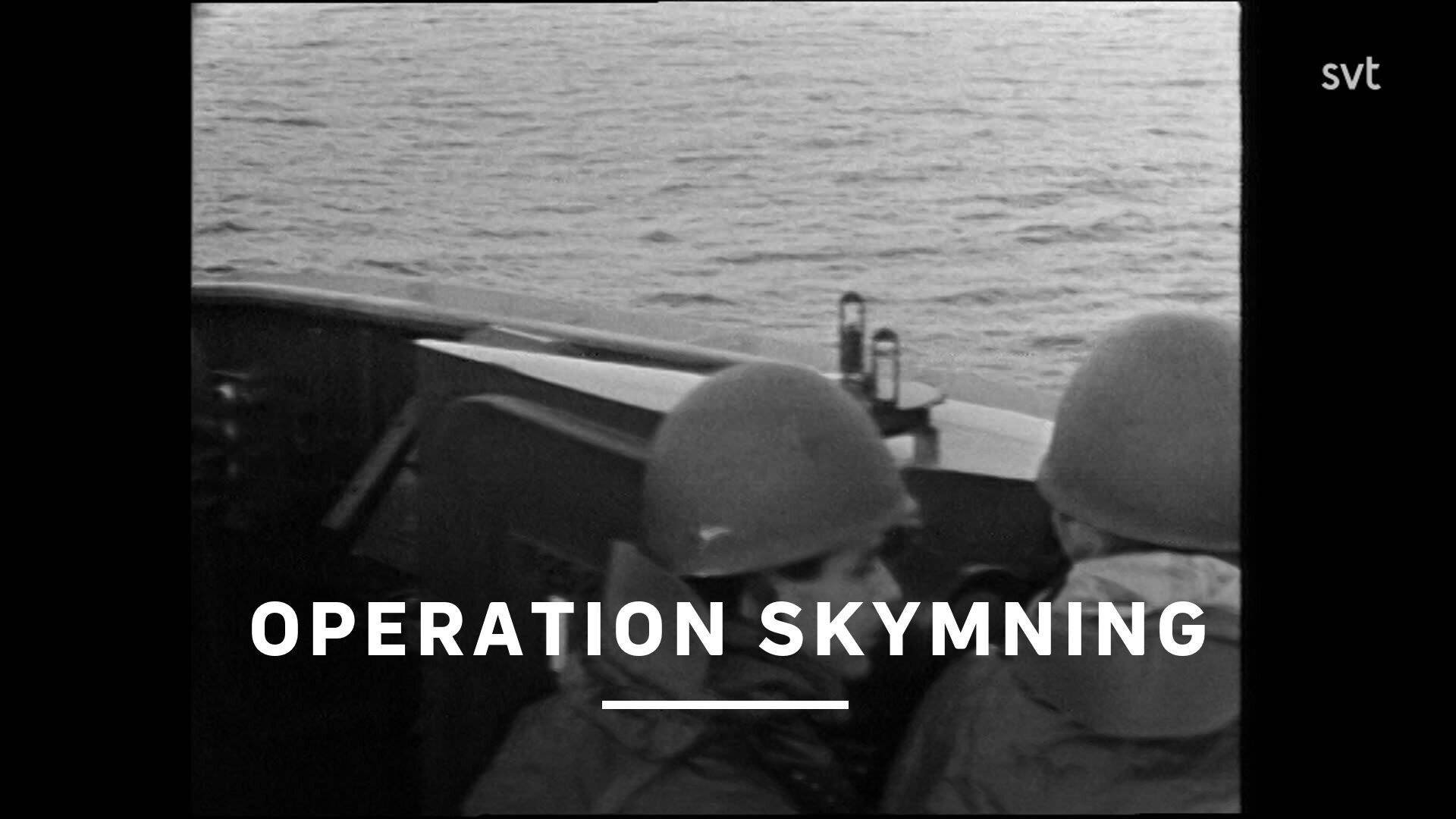 Operation Skymning