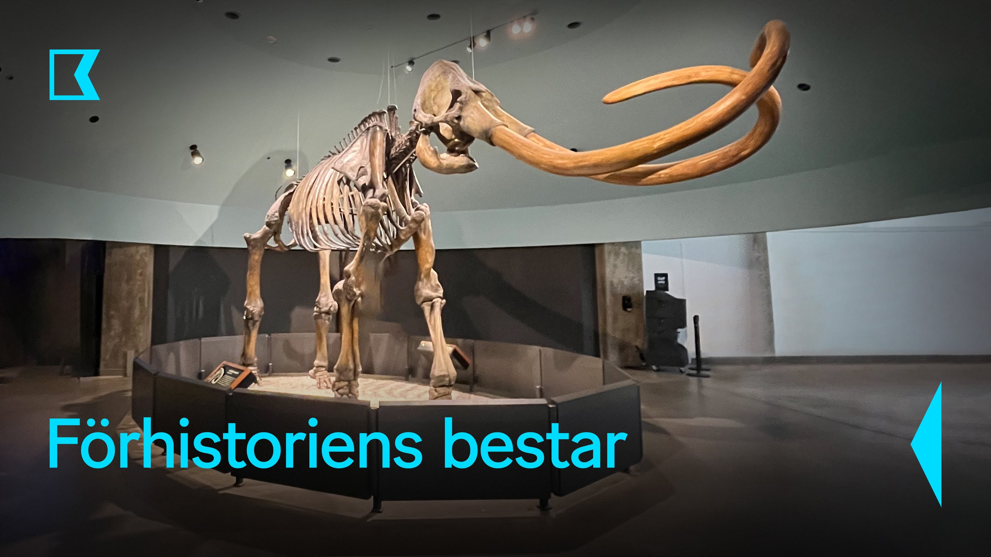 Förhistoriens bestar