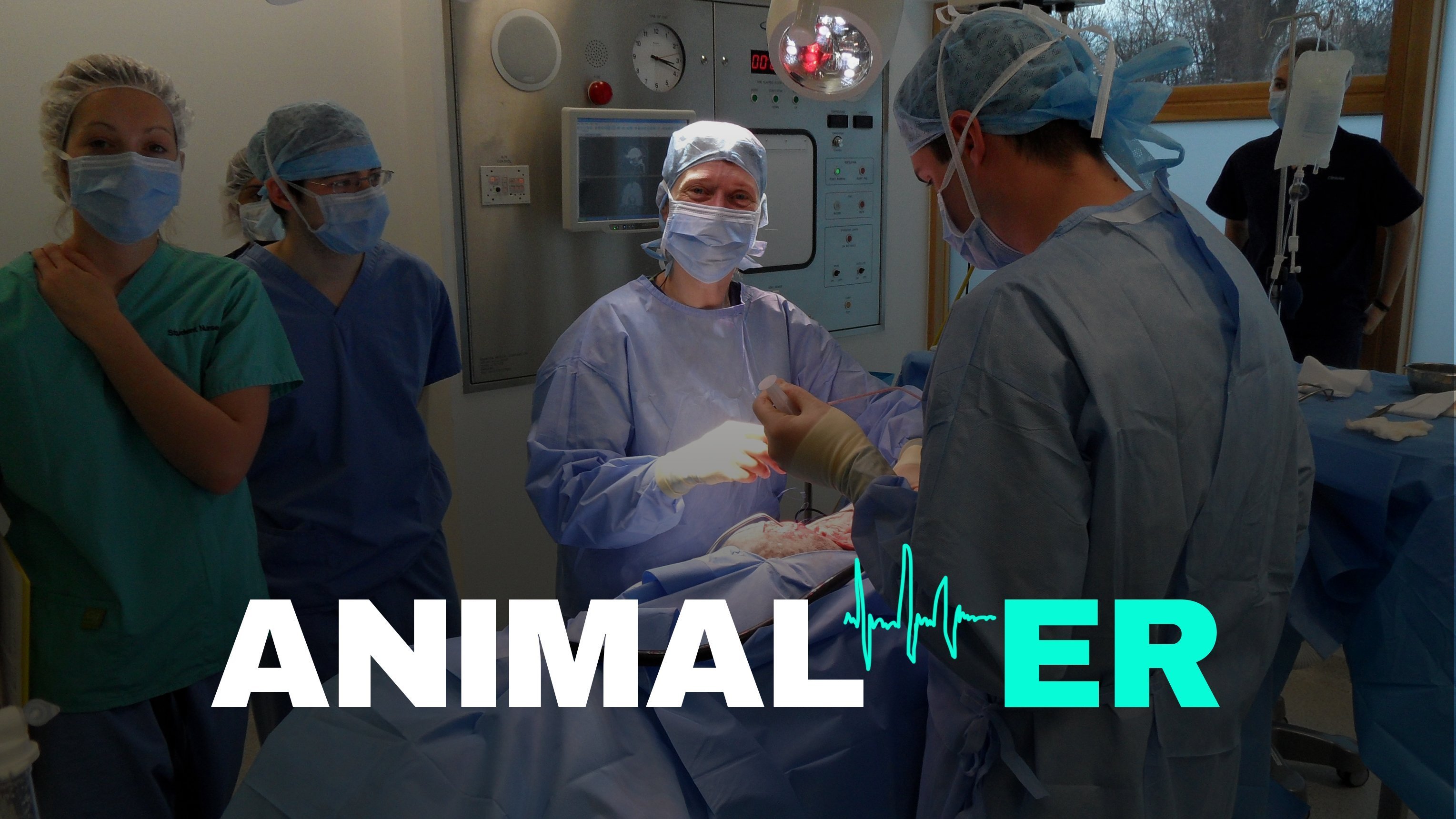 Animal ER