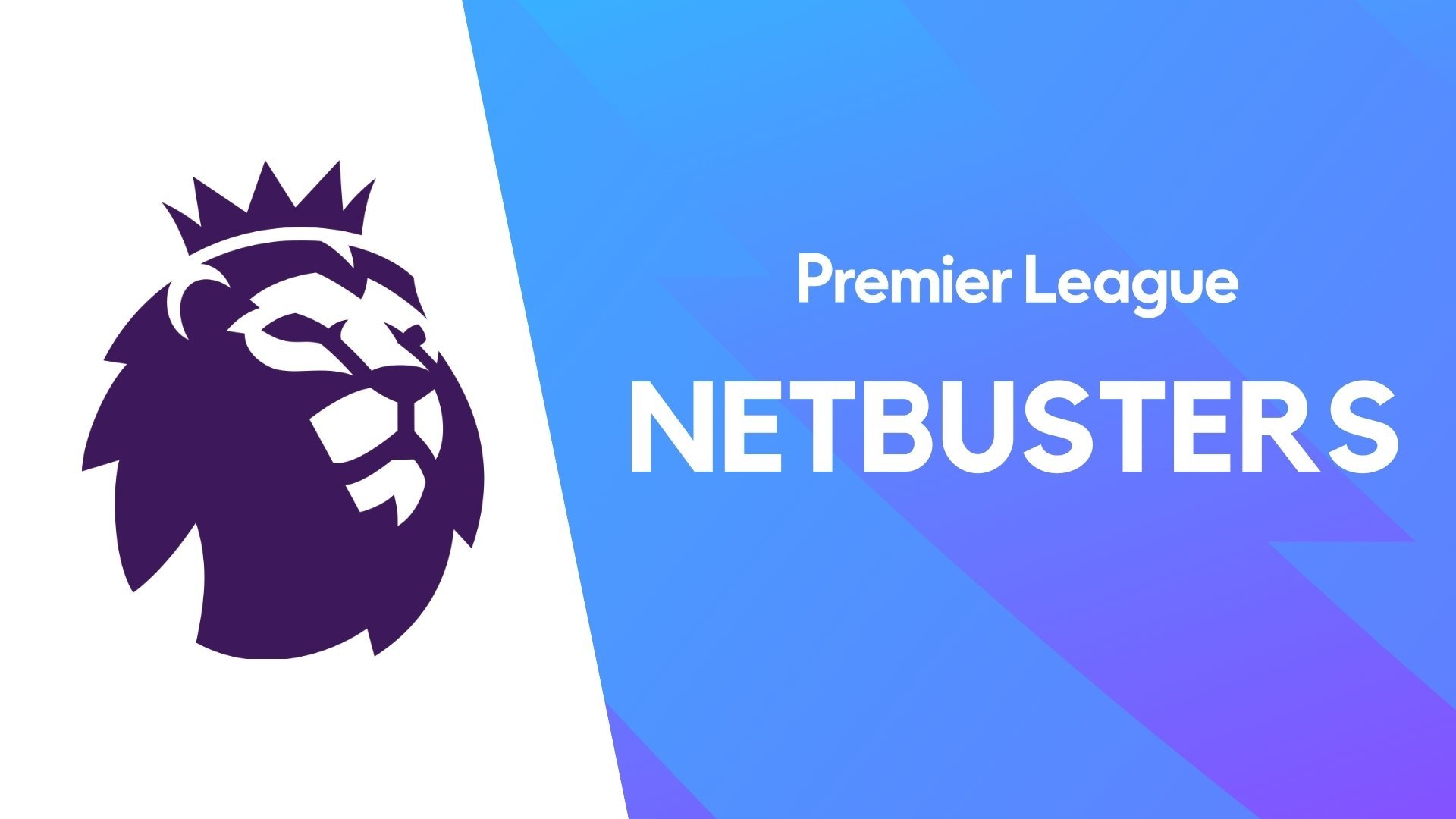 Premier League Netbusters