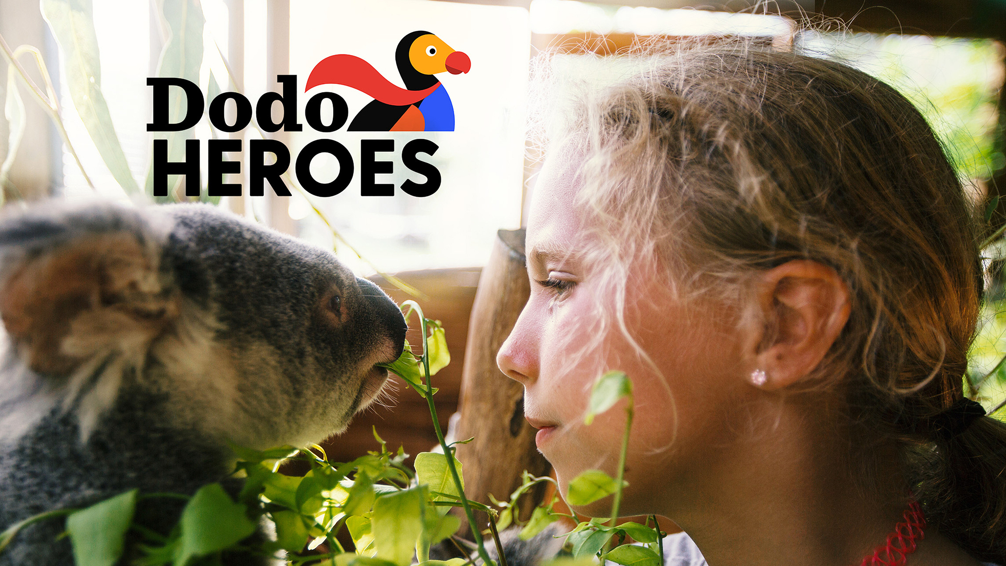 Dodo Heroes