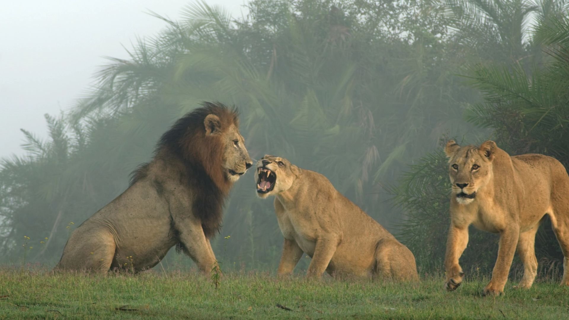 3. De förvisades återkomst