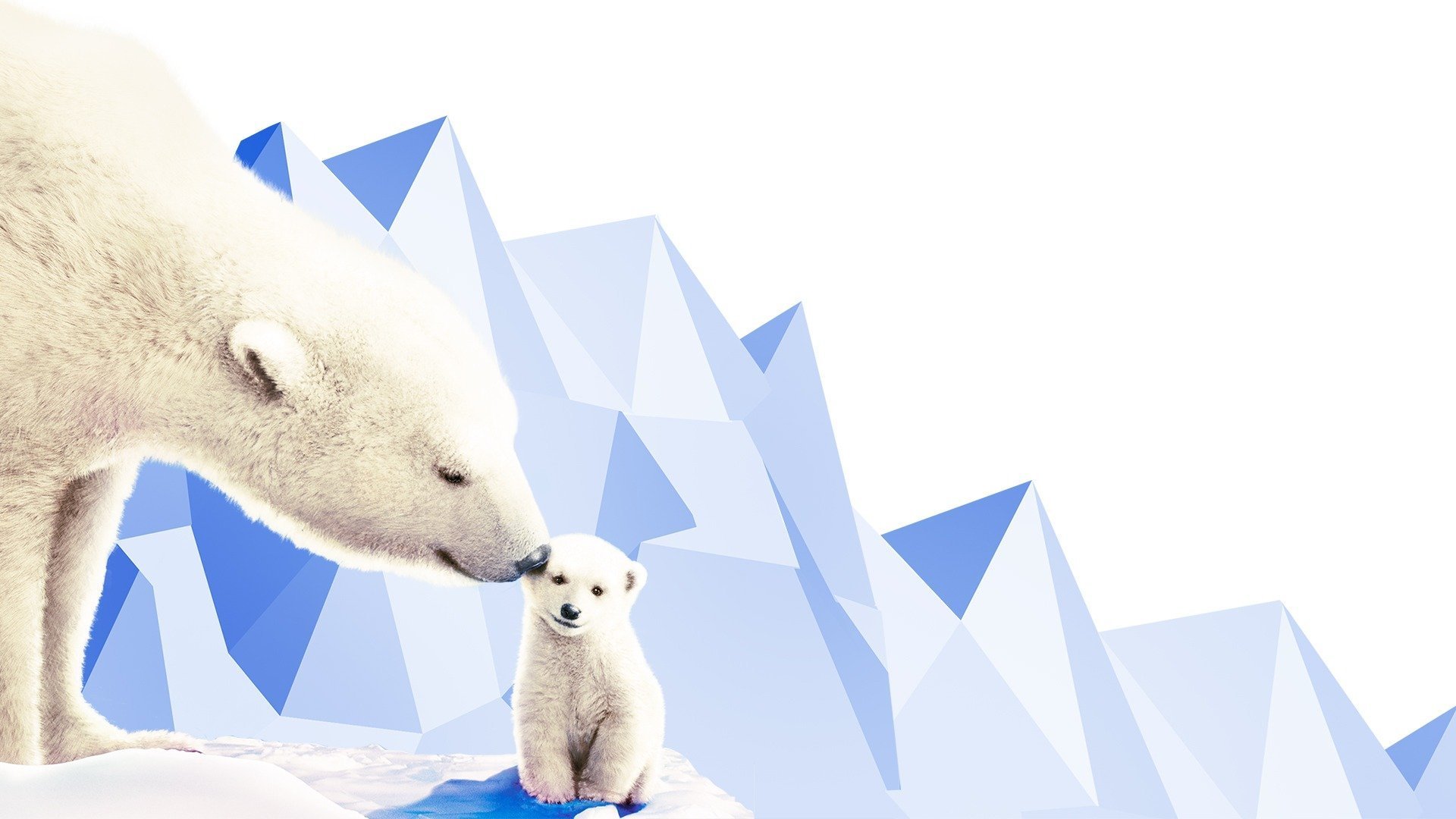 Arctic Tale