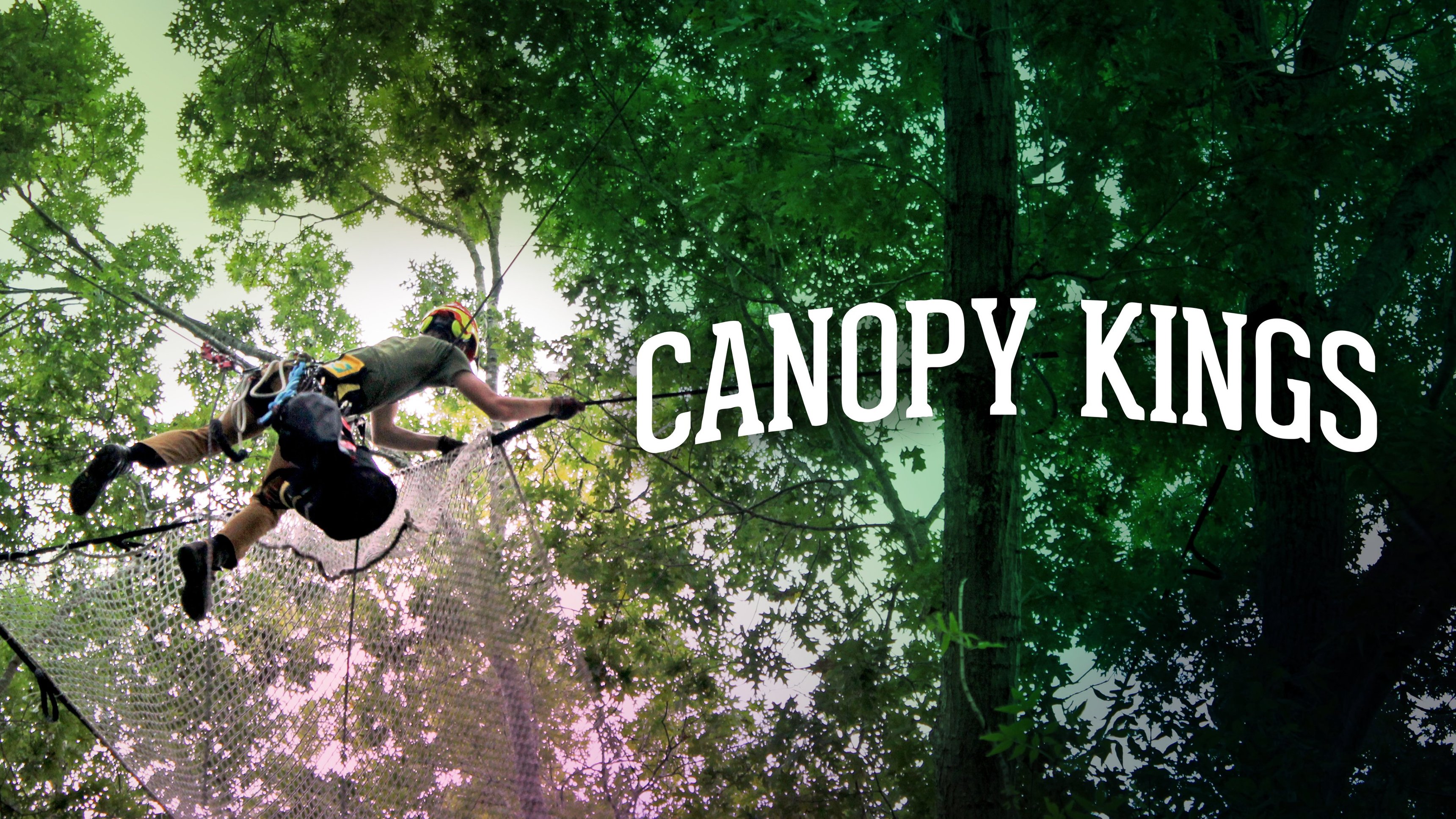 Canopy Kings