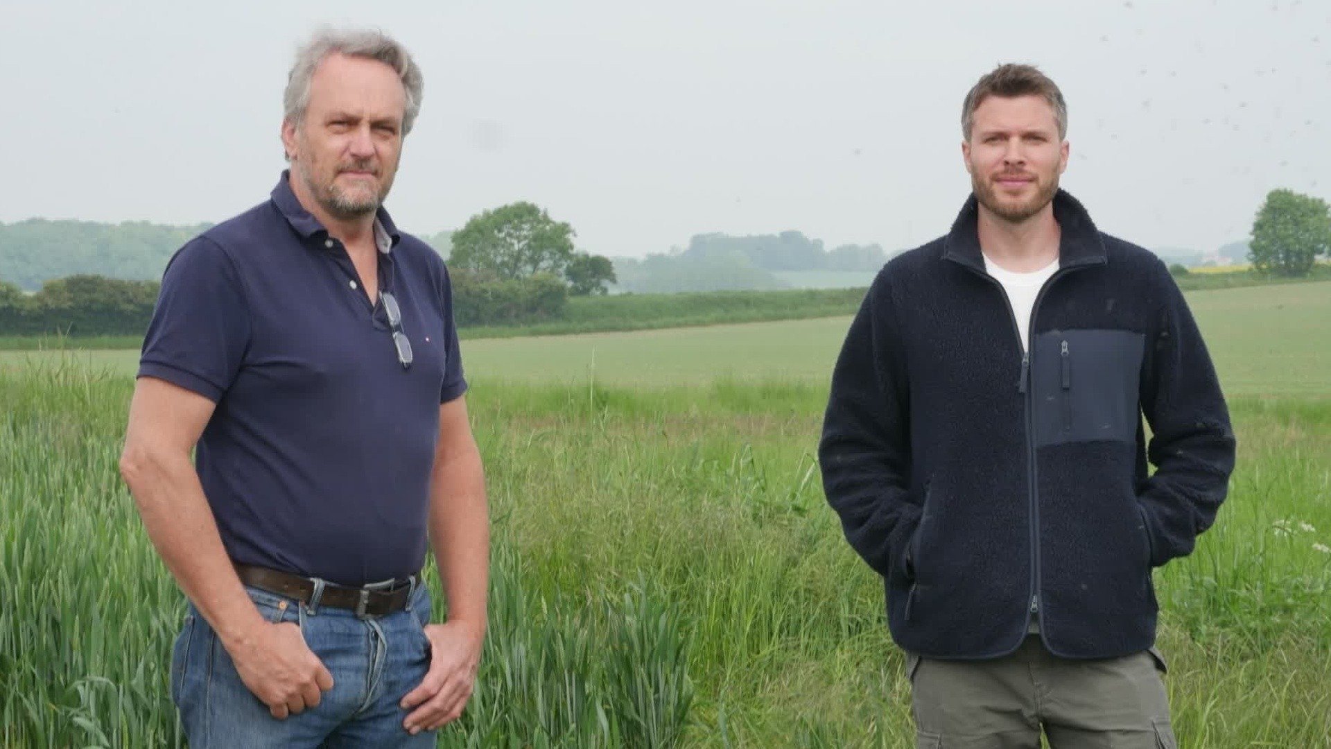1. Battle of Towton