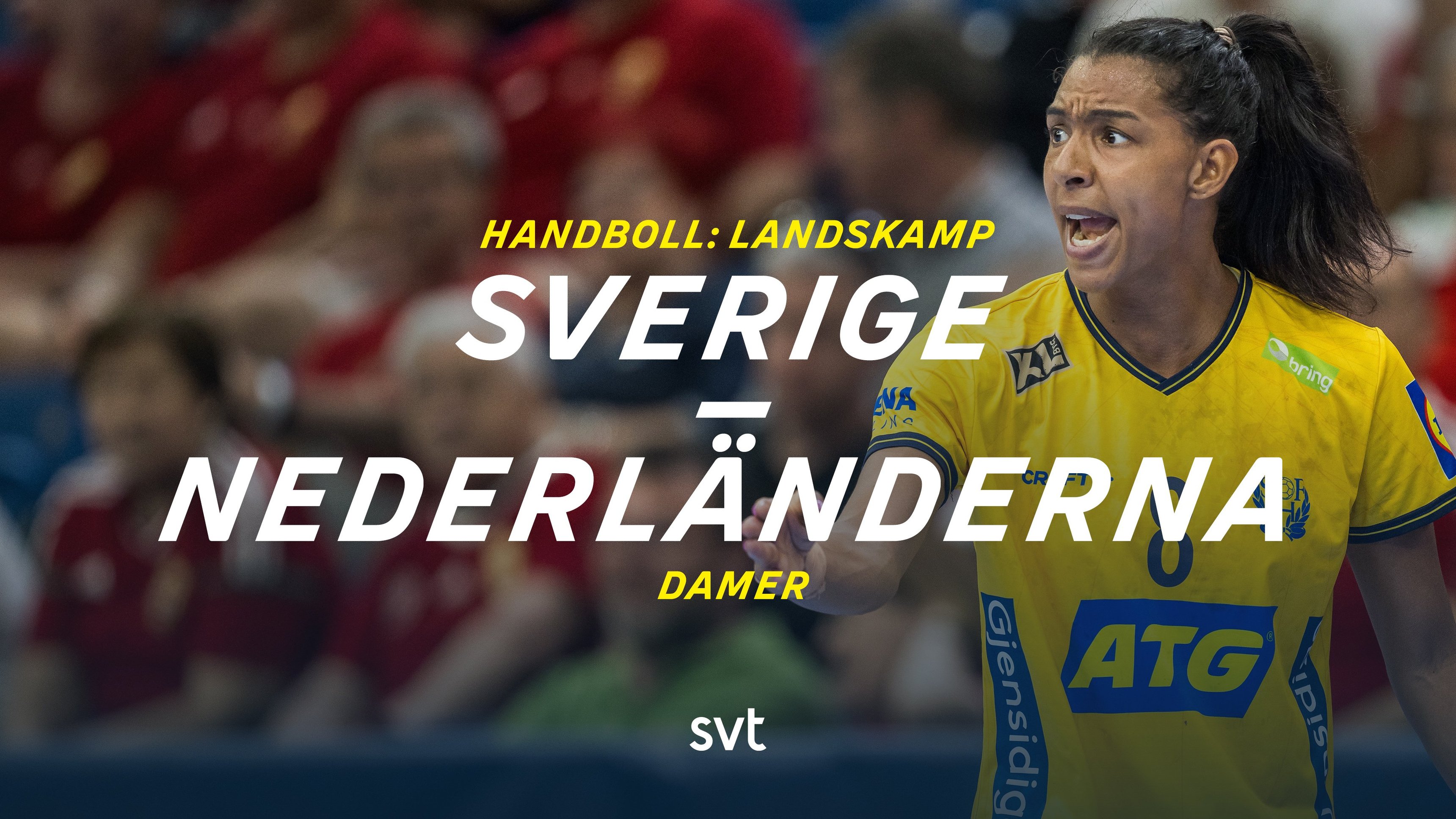 3. Sverige-Nederländerna
