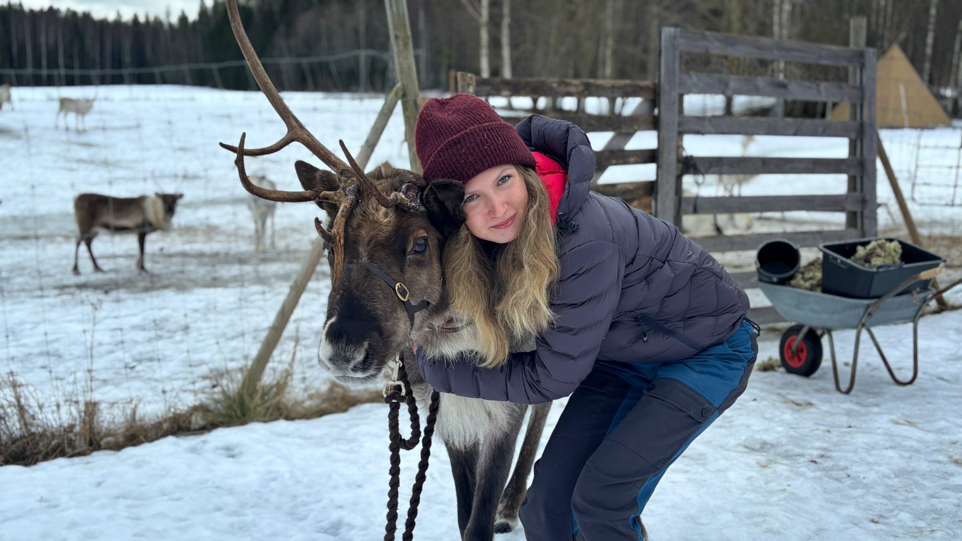 3. Träning