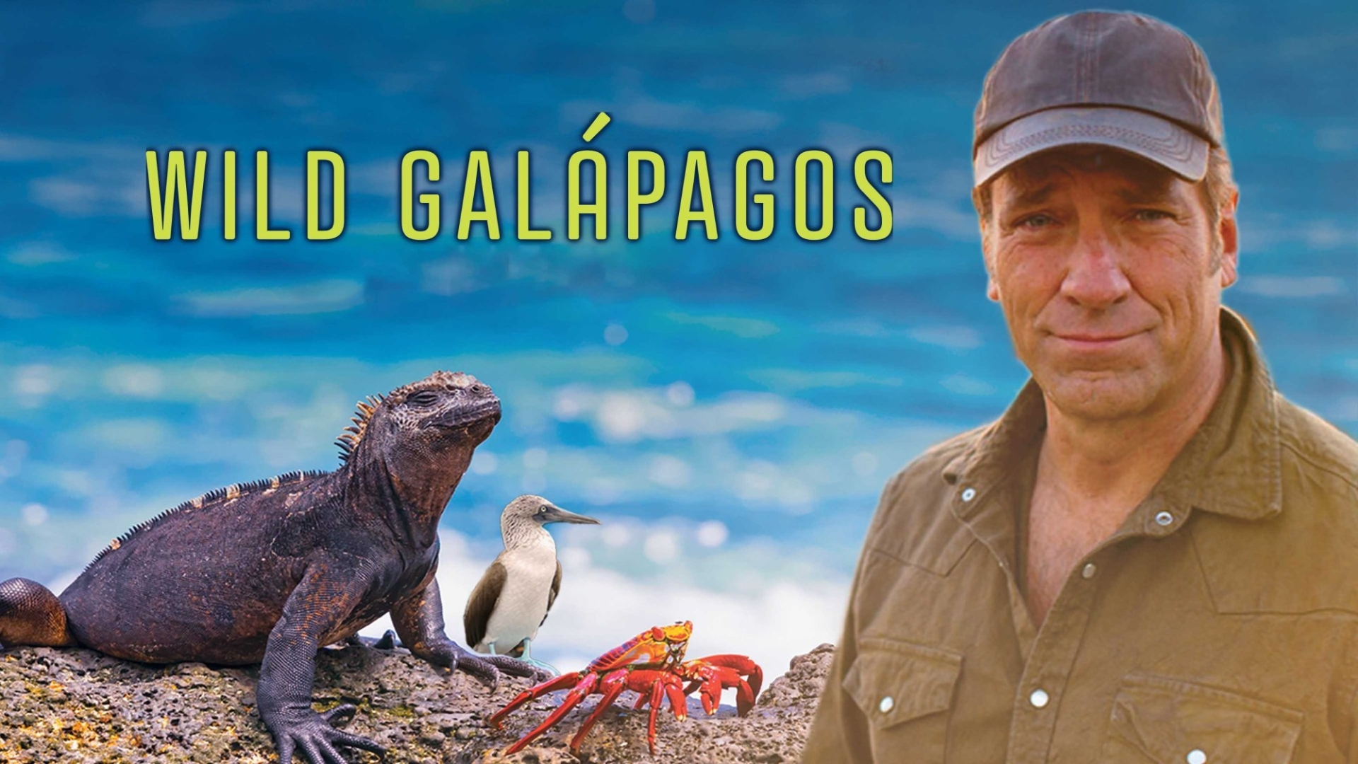 Det vilda Galápagos