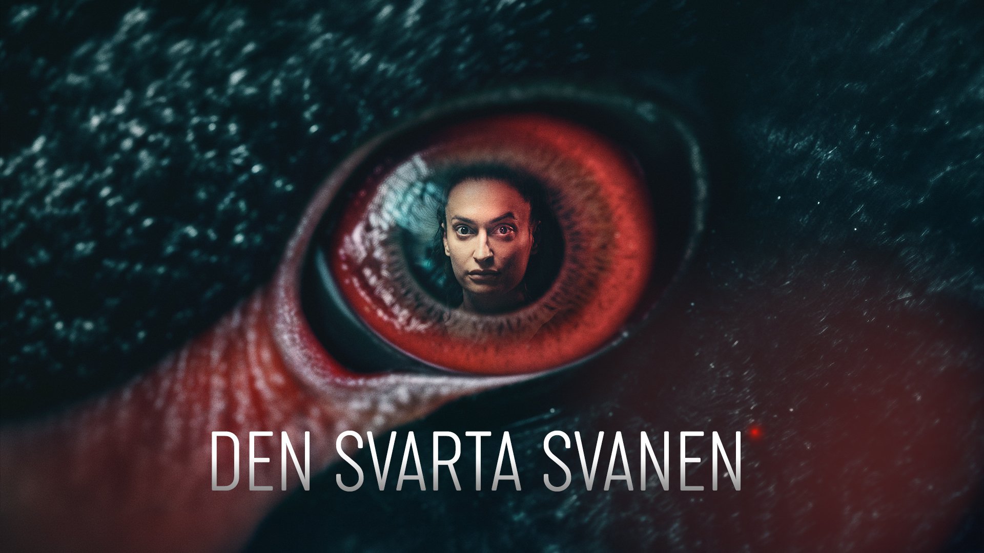 Den svarta svanen