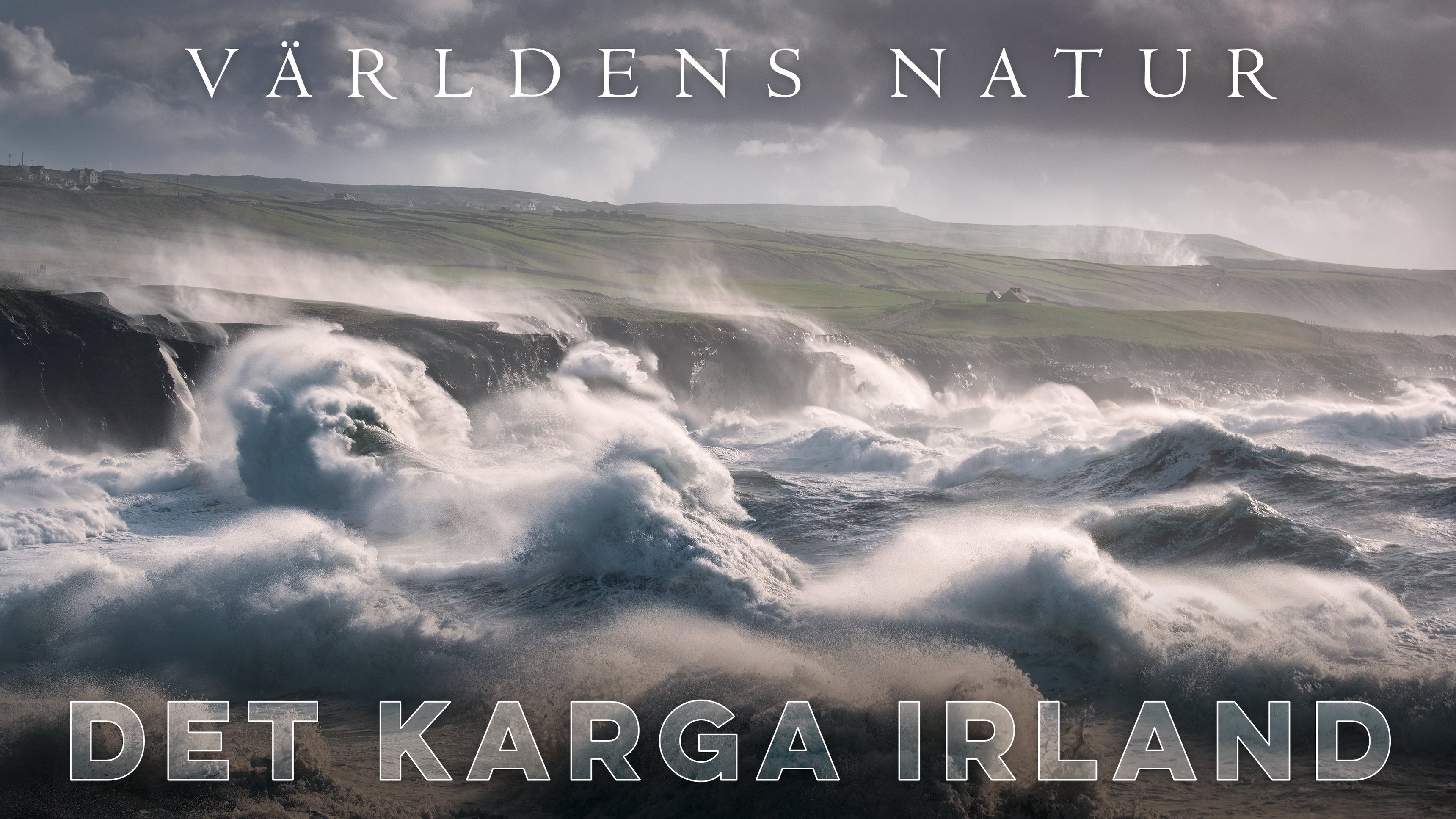 Världens natur: Det karga Irland