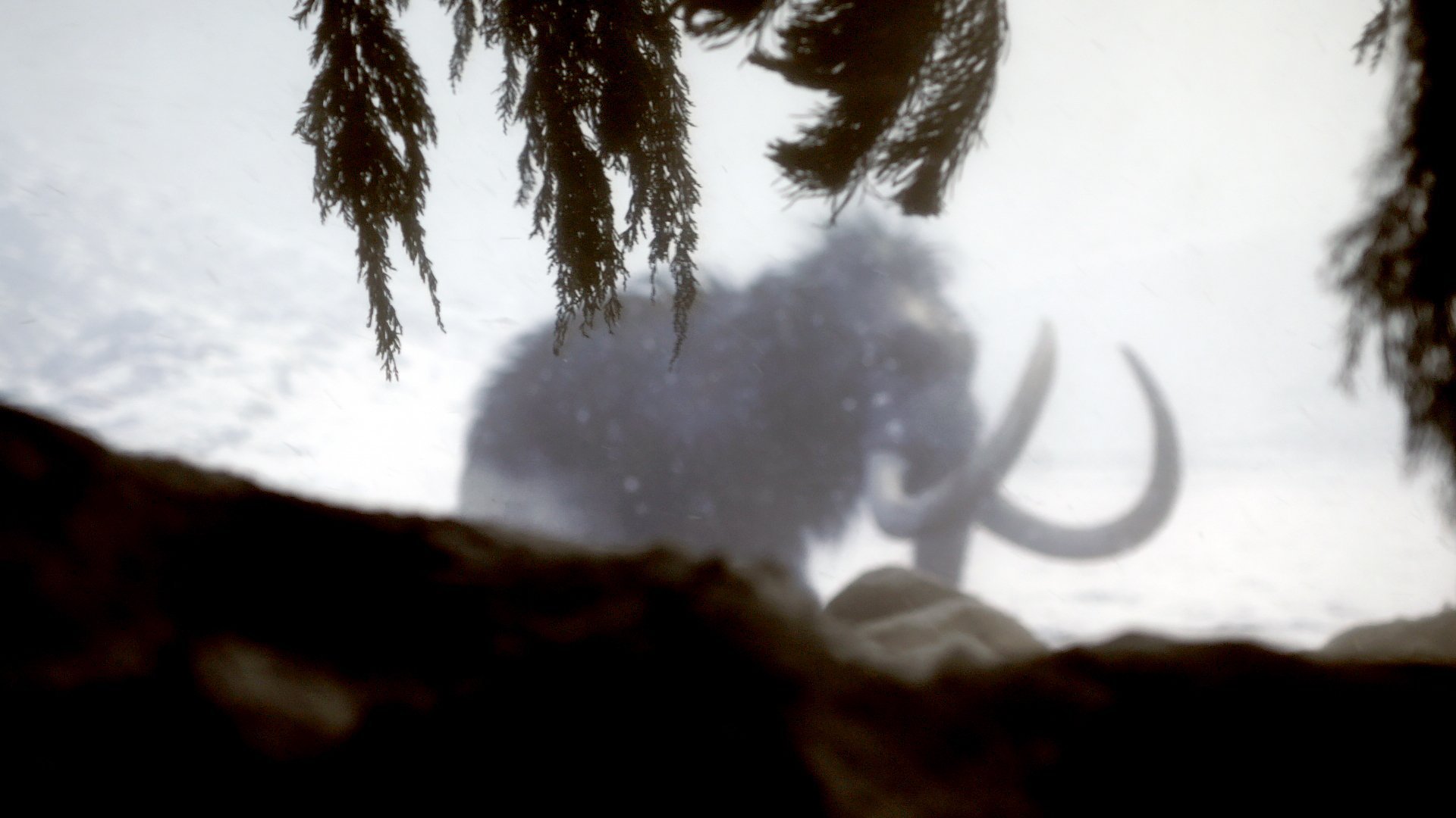 1. Megafaunans uppgång