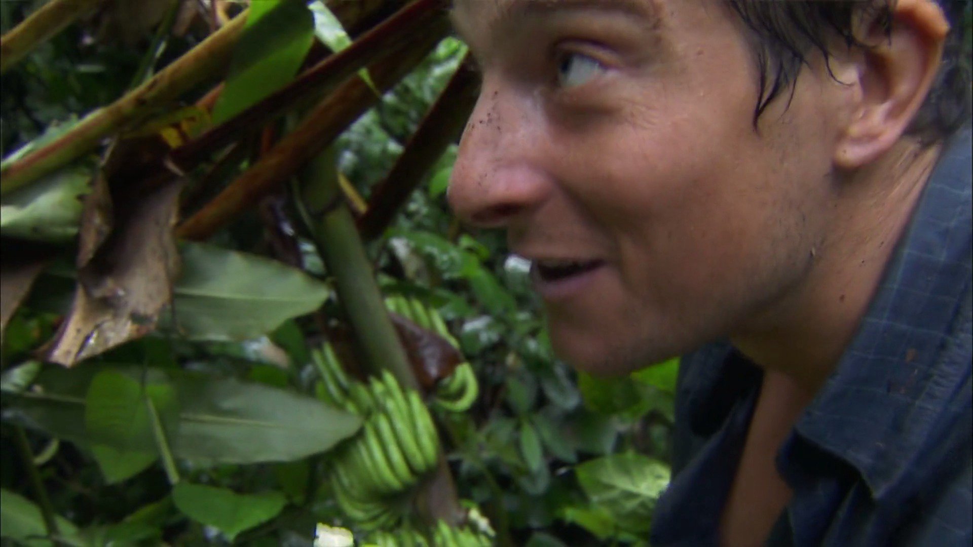 11. Jungle Swamp