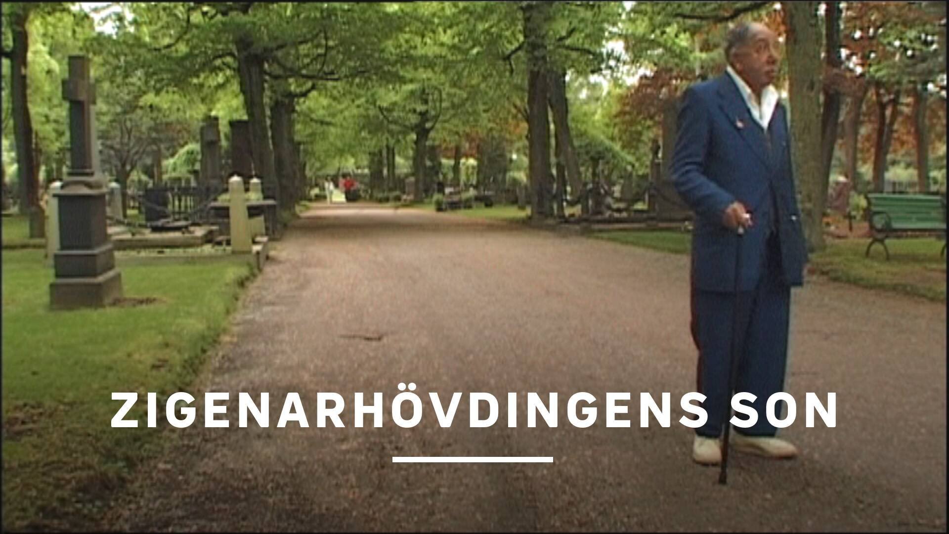 Zigenarhövdingens son