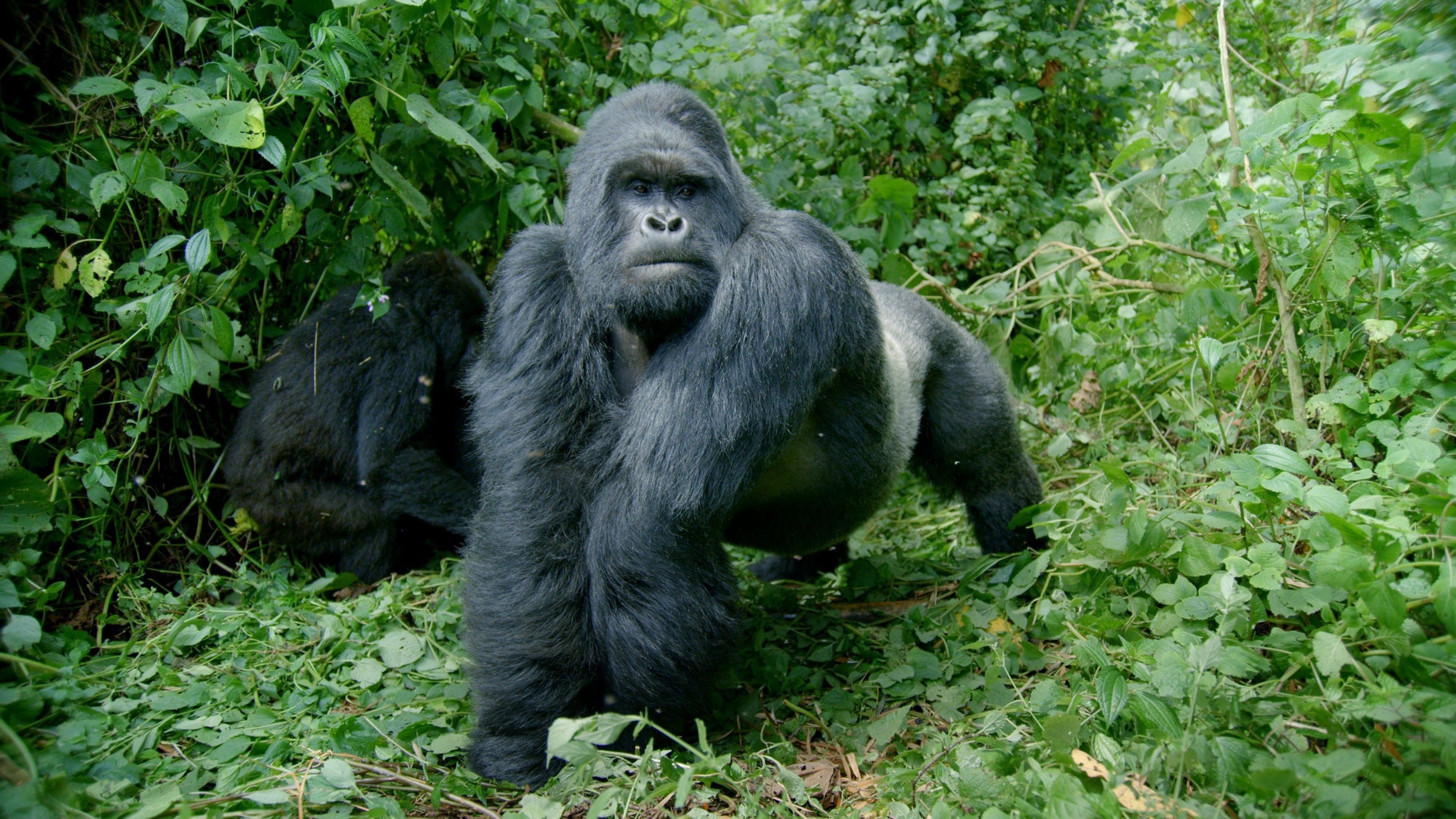 2. Familjeangelägenheter