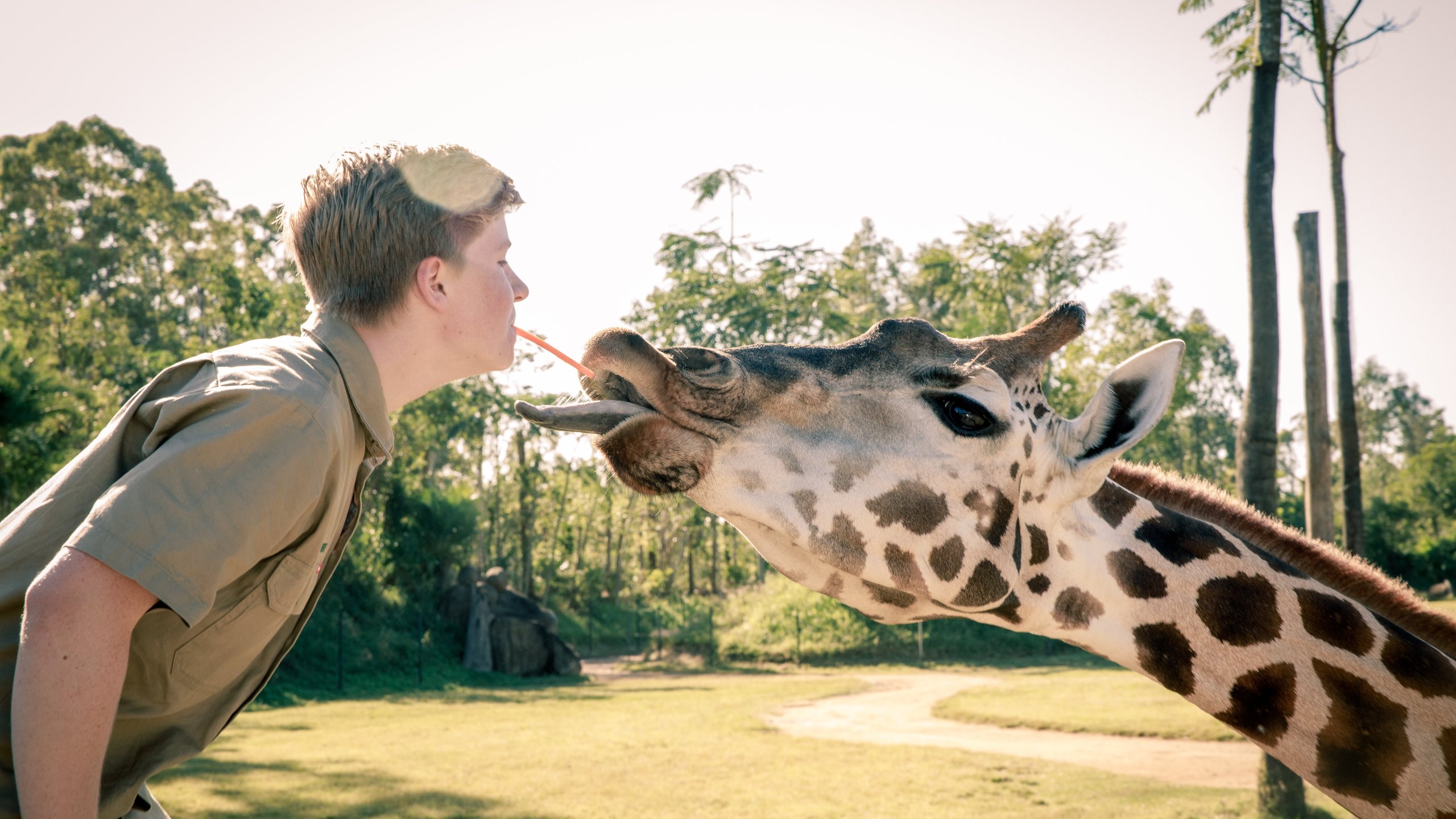 7. It's A Baby Giraffe!