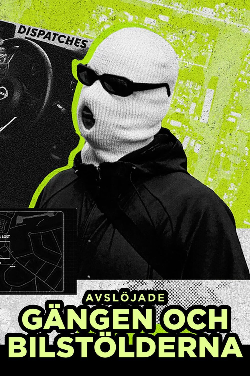Avslöjade - gängen och bilstölderna