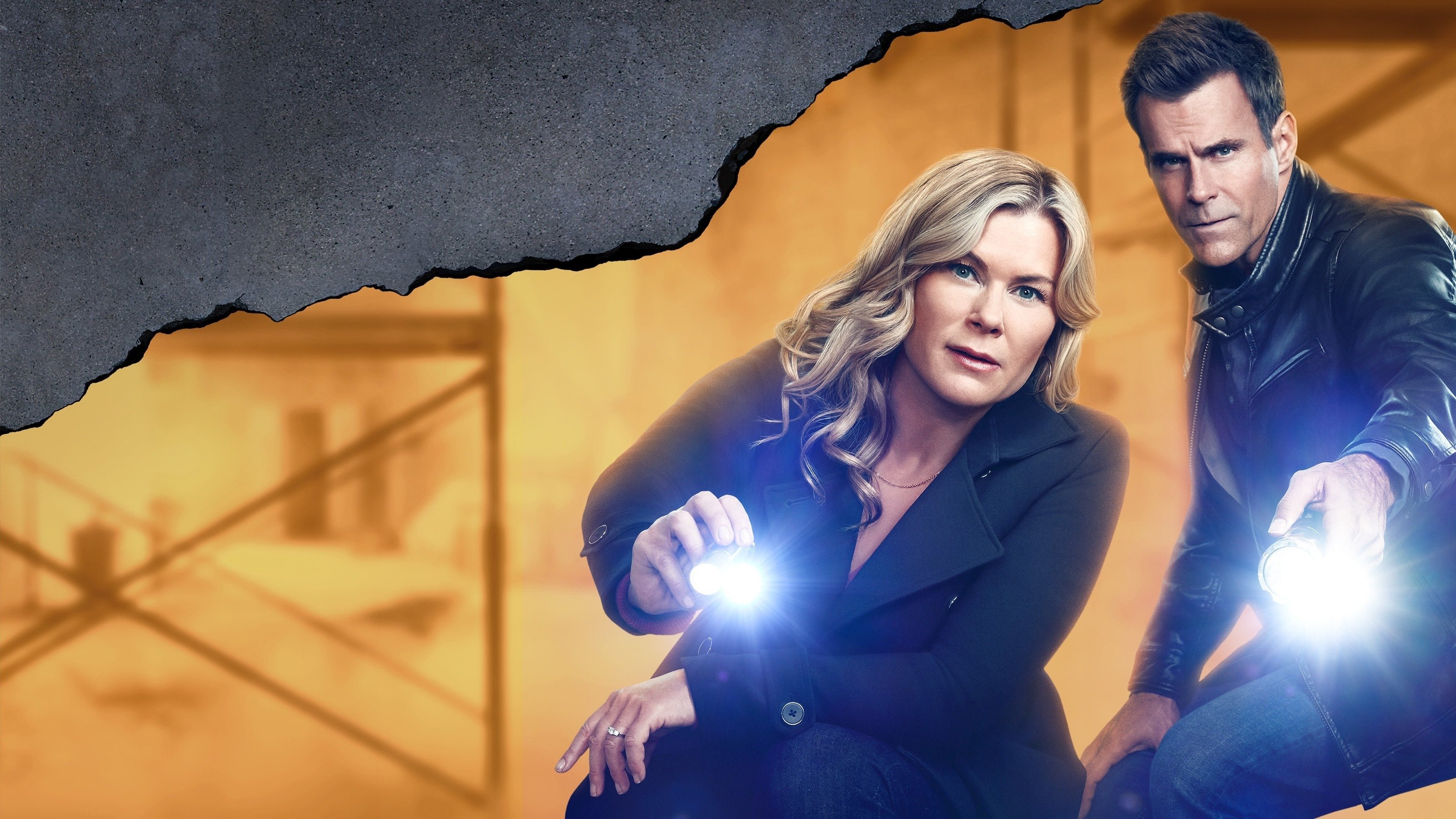 Carrot Cake: A Hannah Swensen Mystery