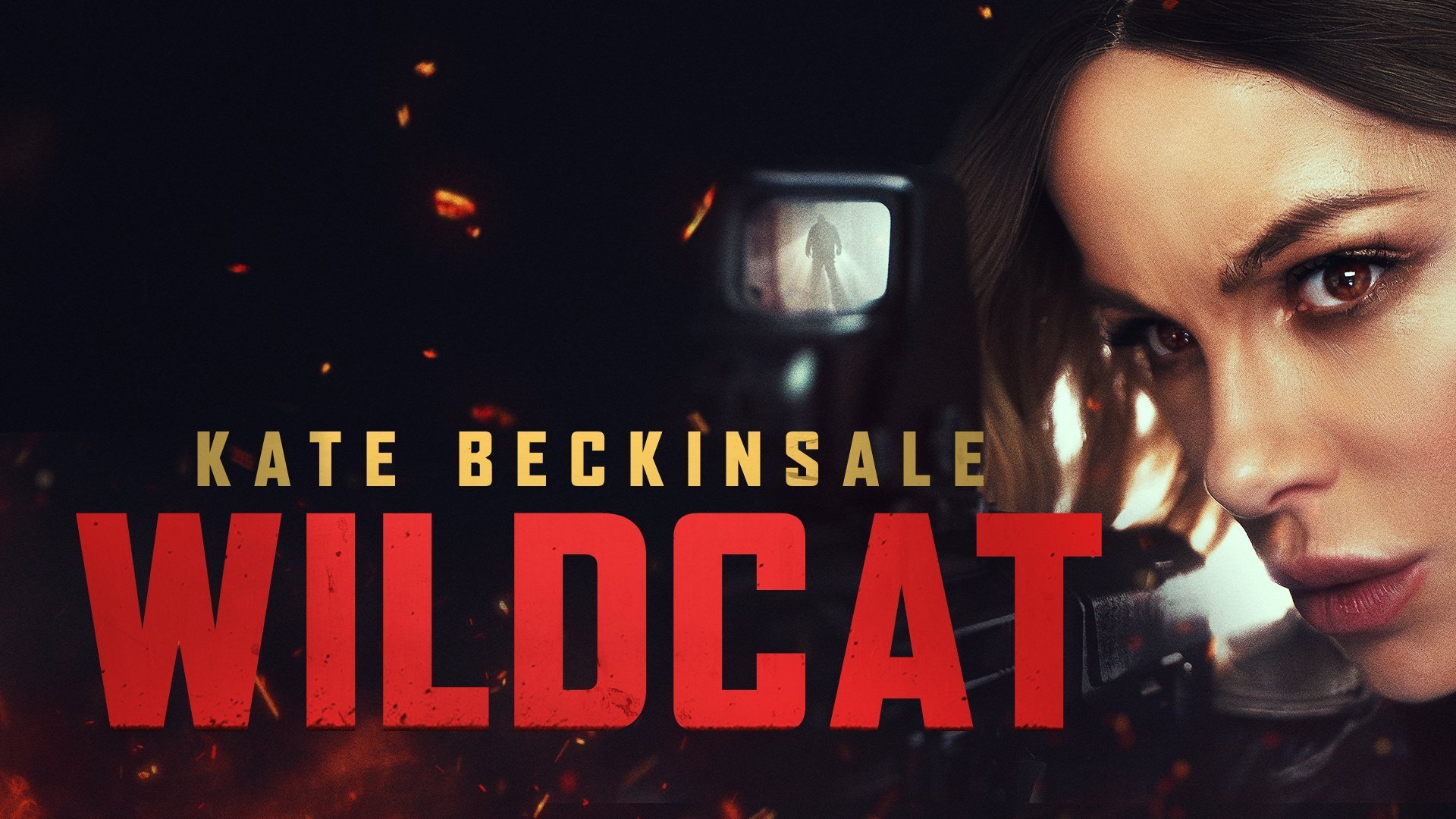 Wildcat