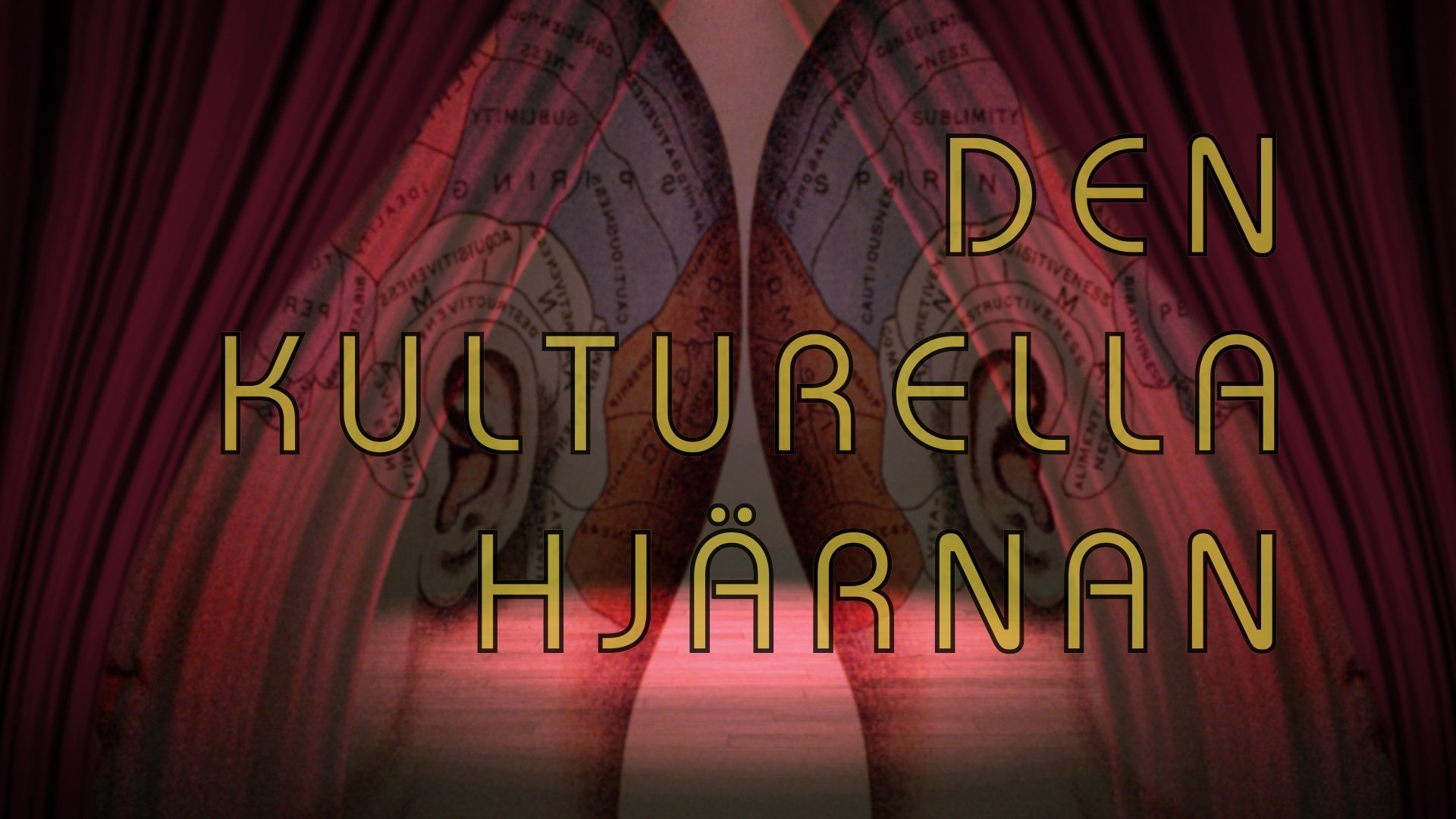 Den kulturella hjärnan