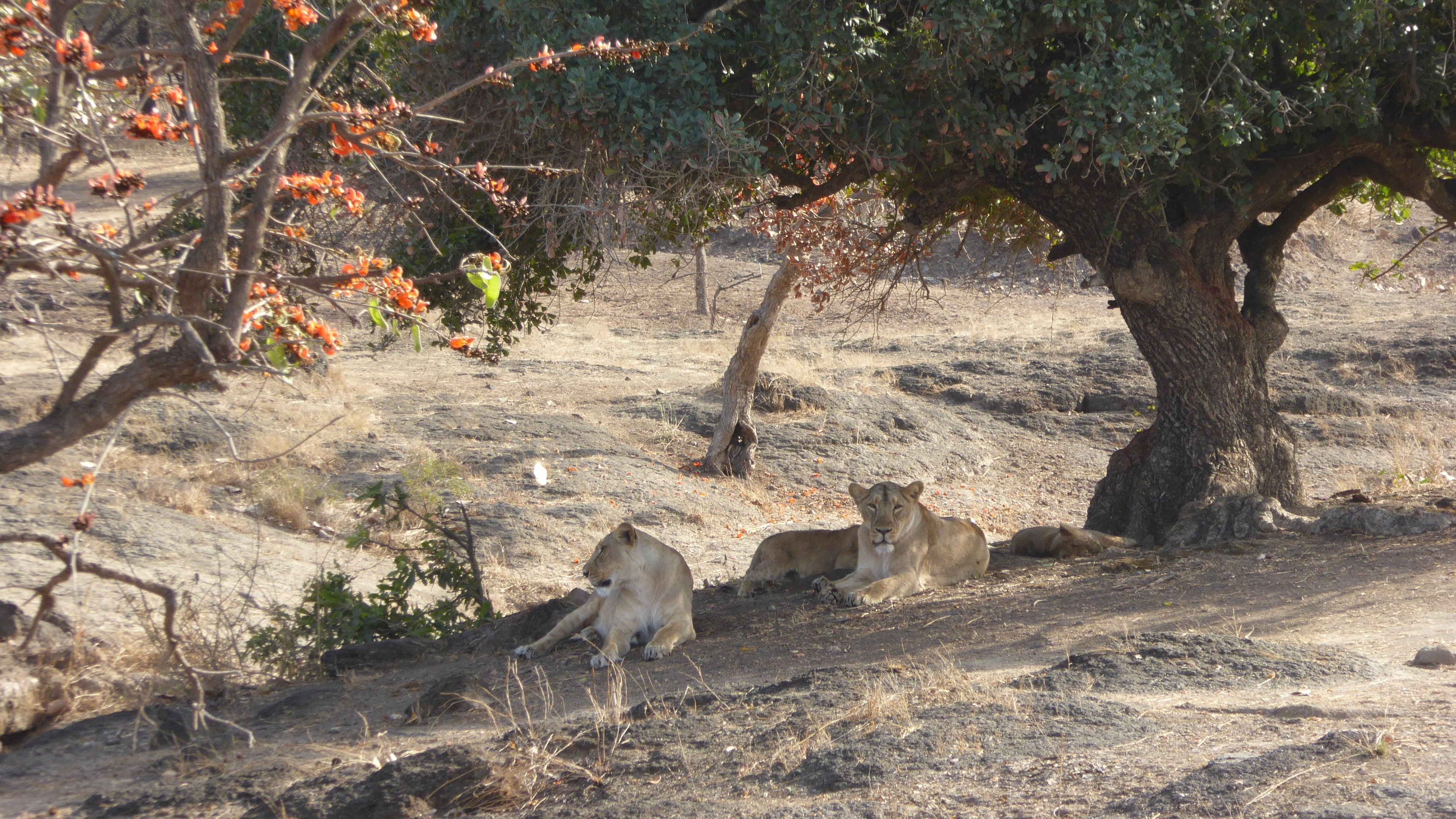1. Föränderlighetens land