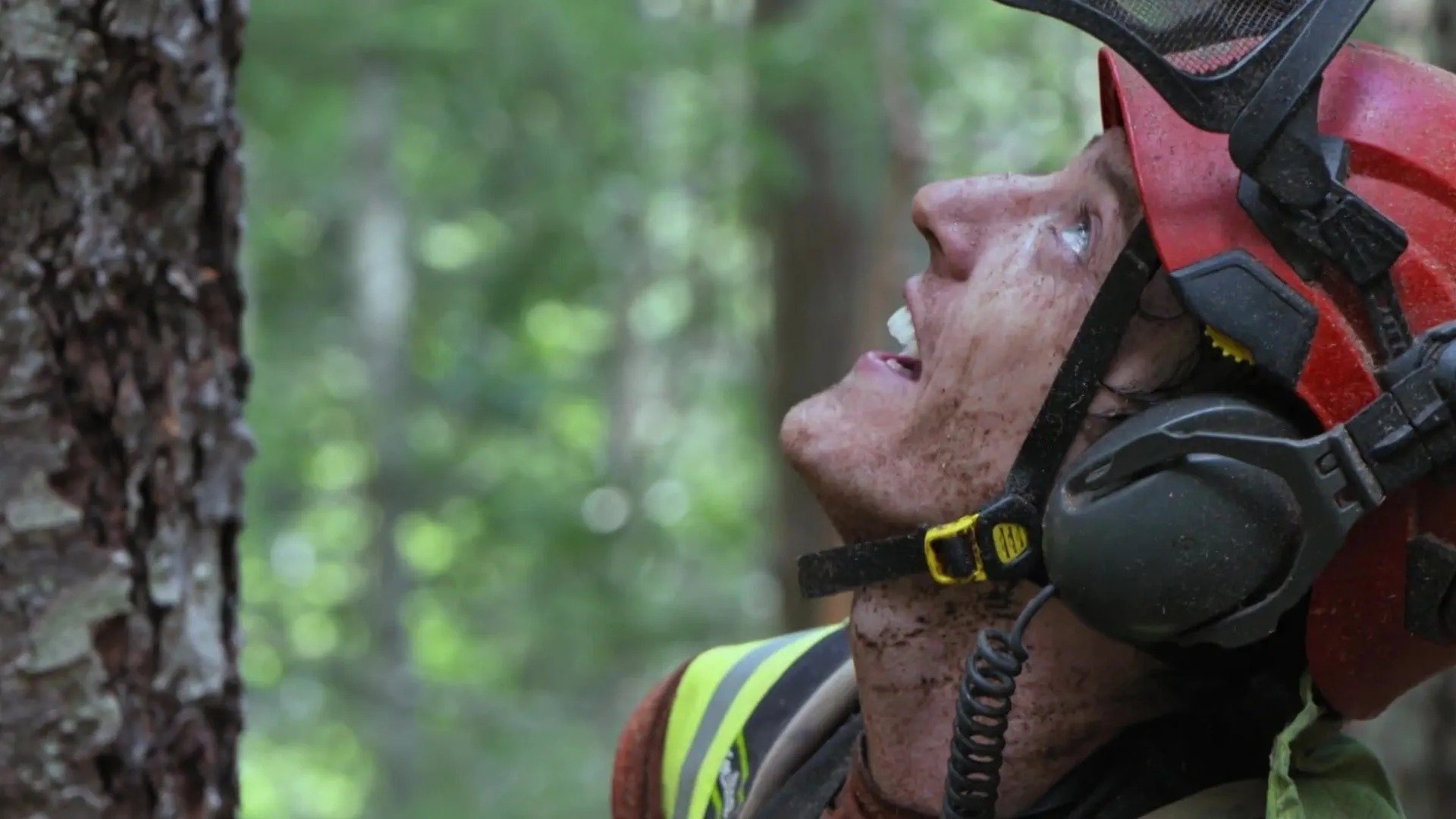 6. Upp- och nedgångar